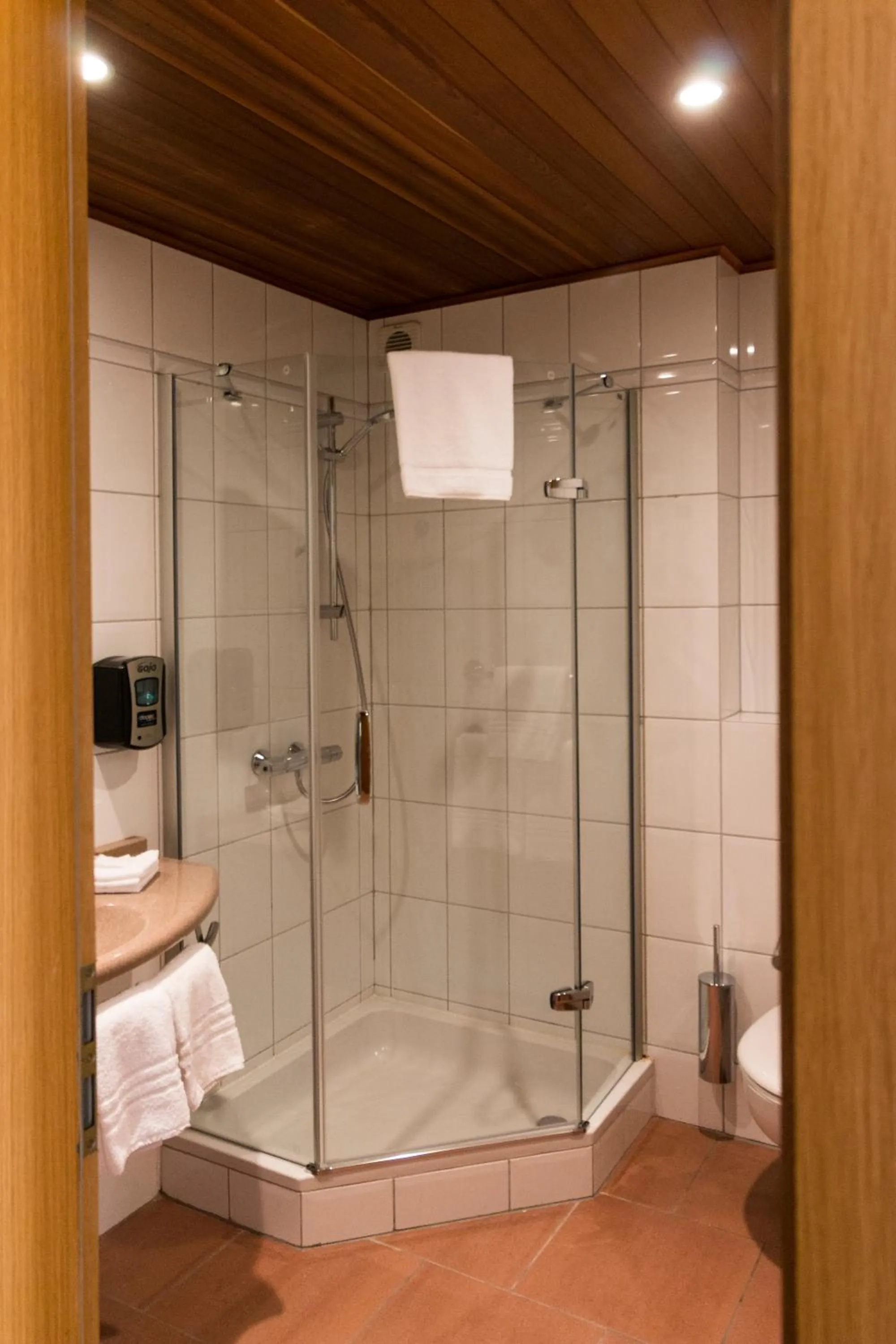 Shower in Park Hotel Kelmis