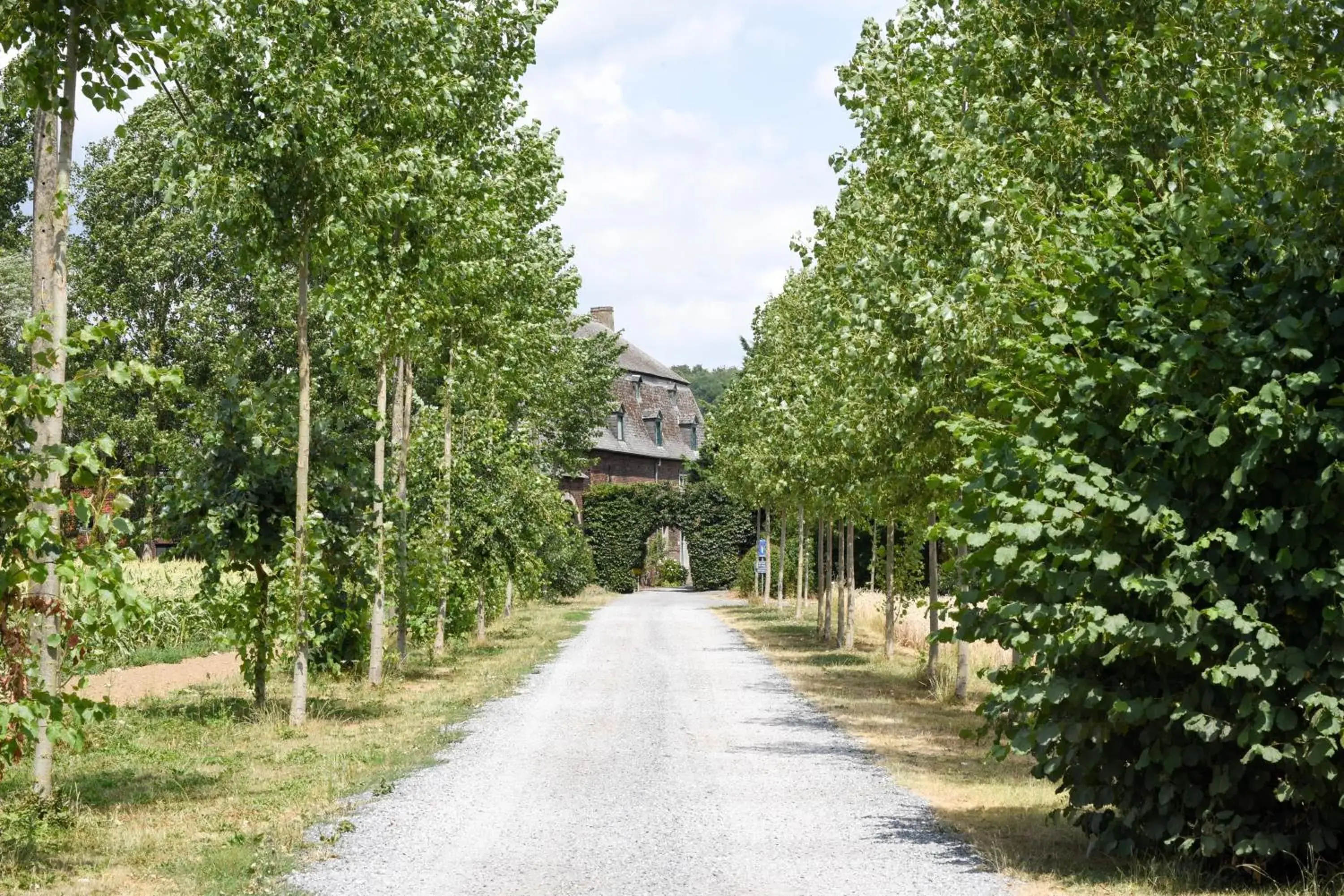 B&B La Ferme de l'Hosté B&B La Ferme de l'Hosté