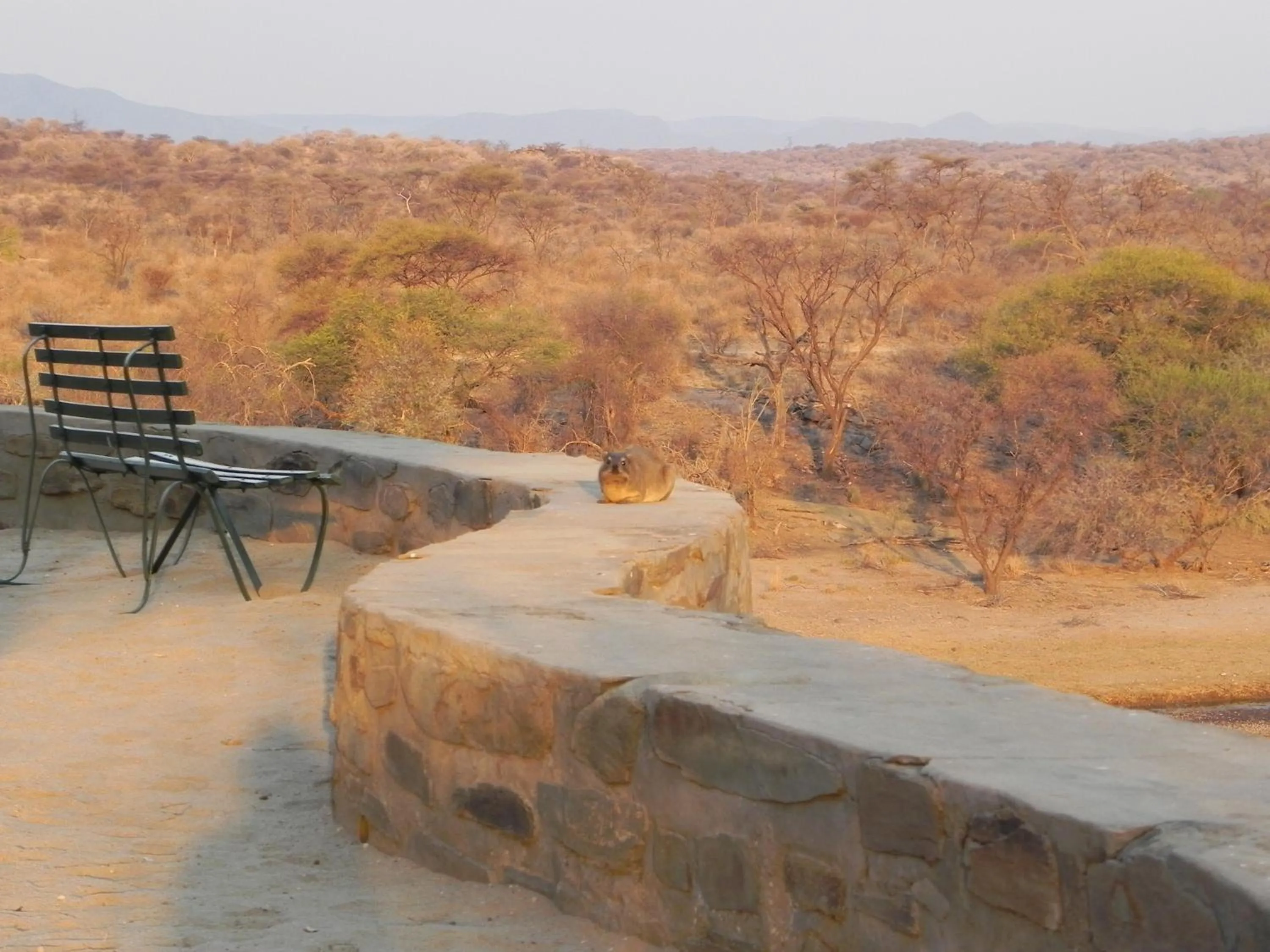 View (from property/room) in Düsternbrook Guest Farm