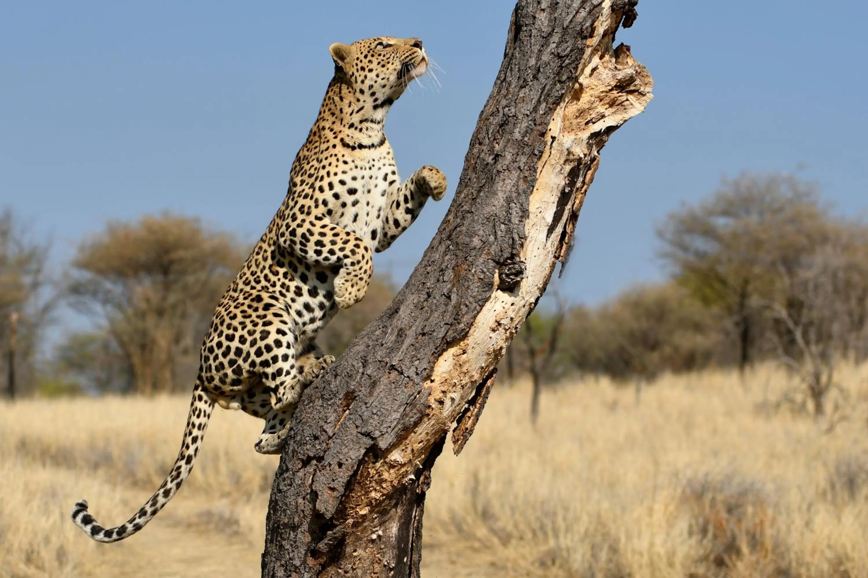Activities in Düsternbrook Guest Farm