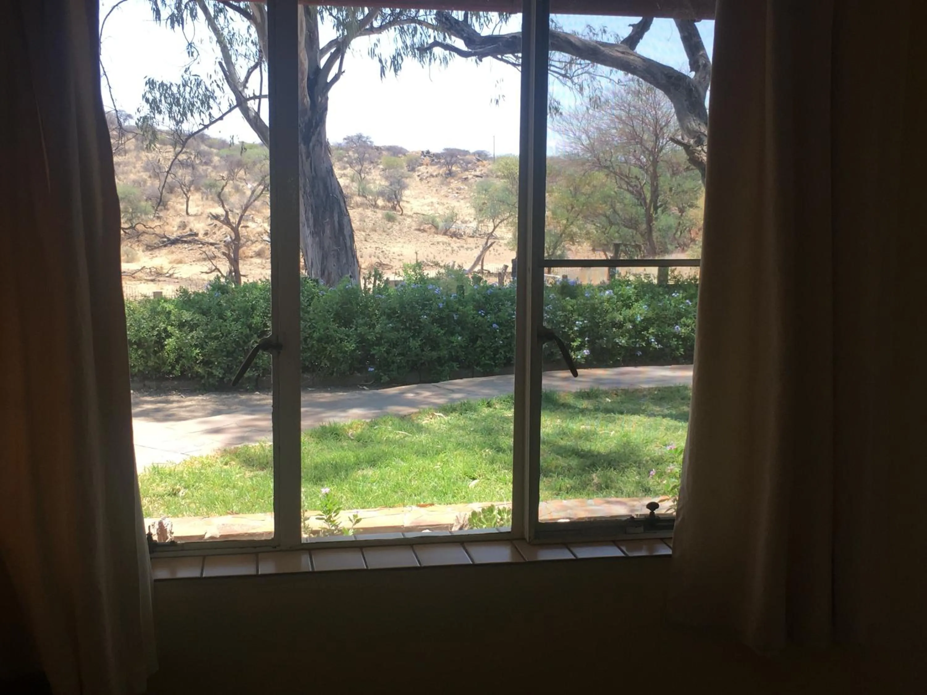 Garden view in Düsternbrook Guest Farm