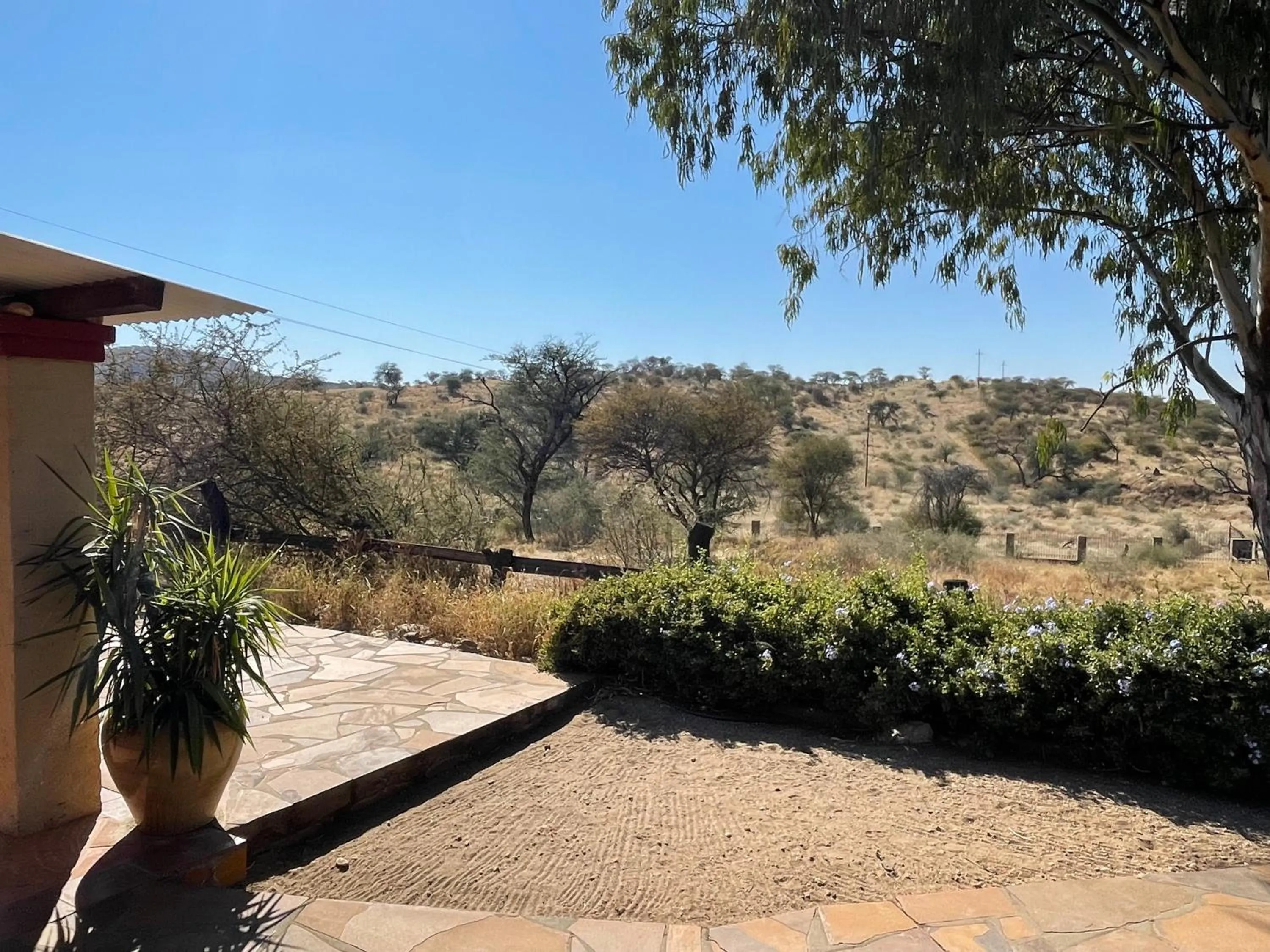 Spring in Düsternbrook Guest Farm