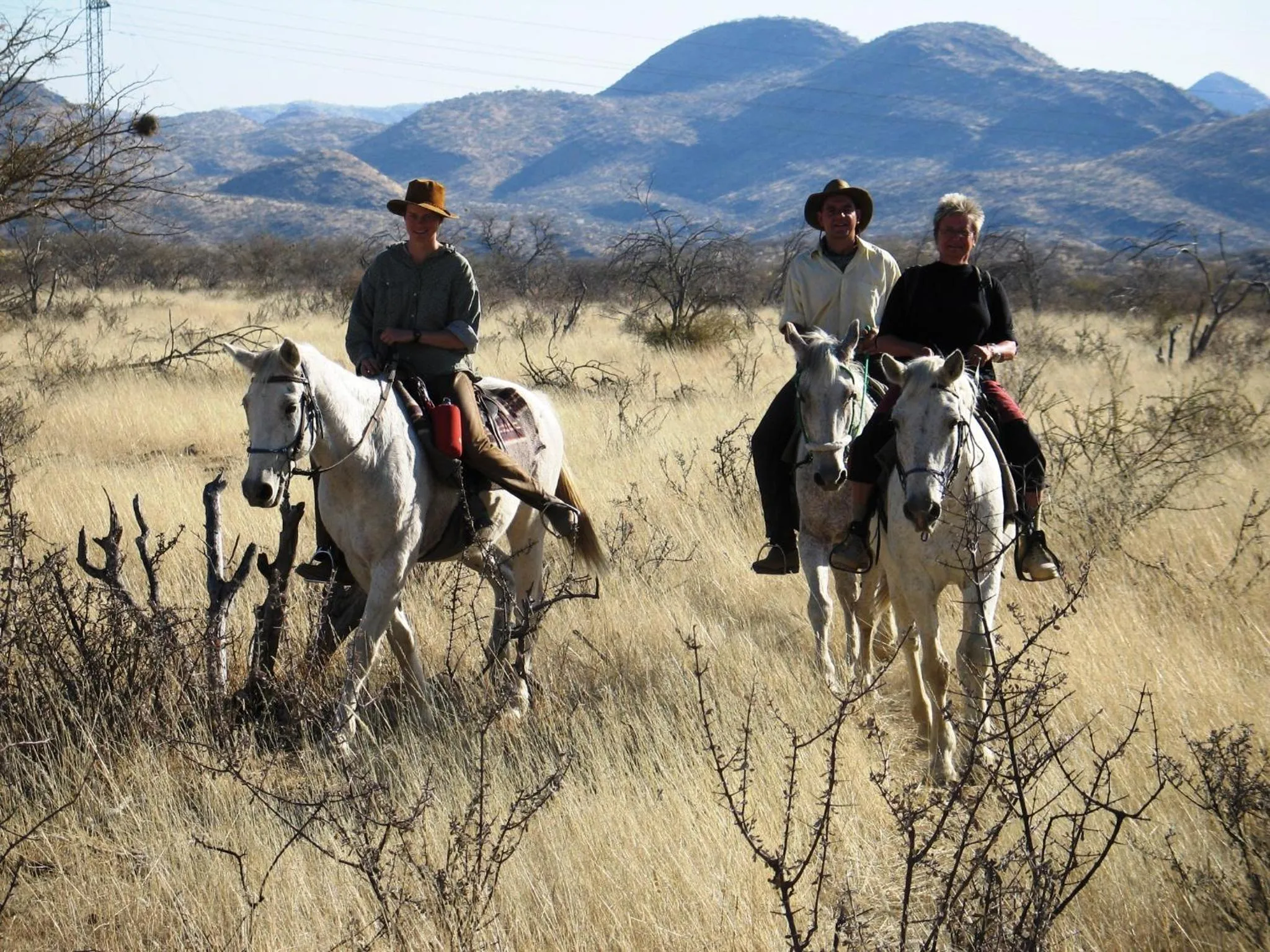 Activities in Düsternbrook Guest Farm
