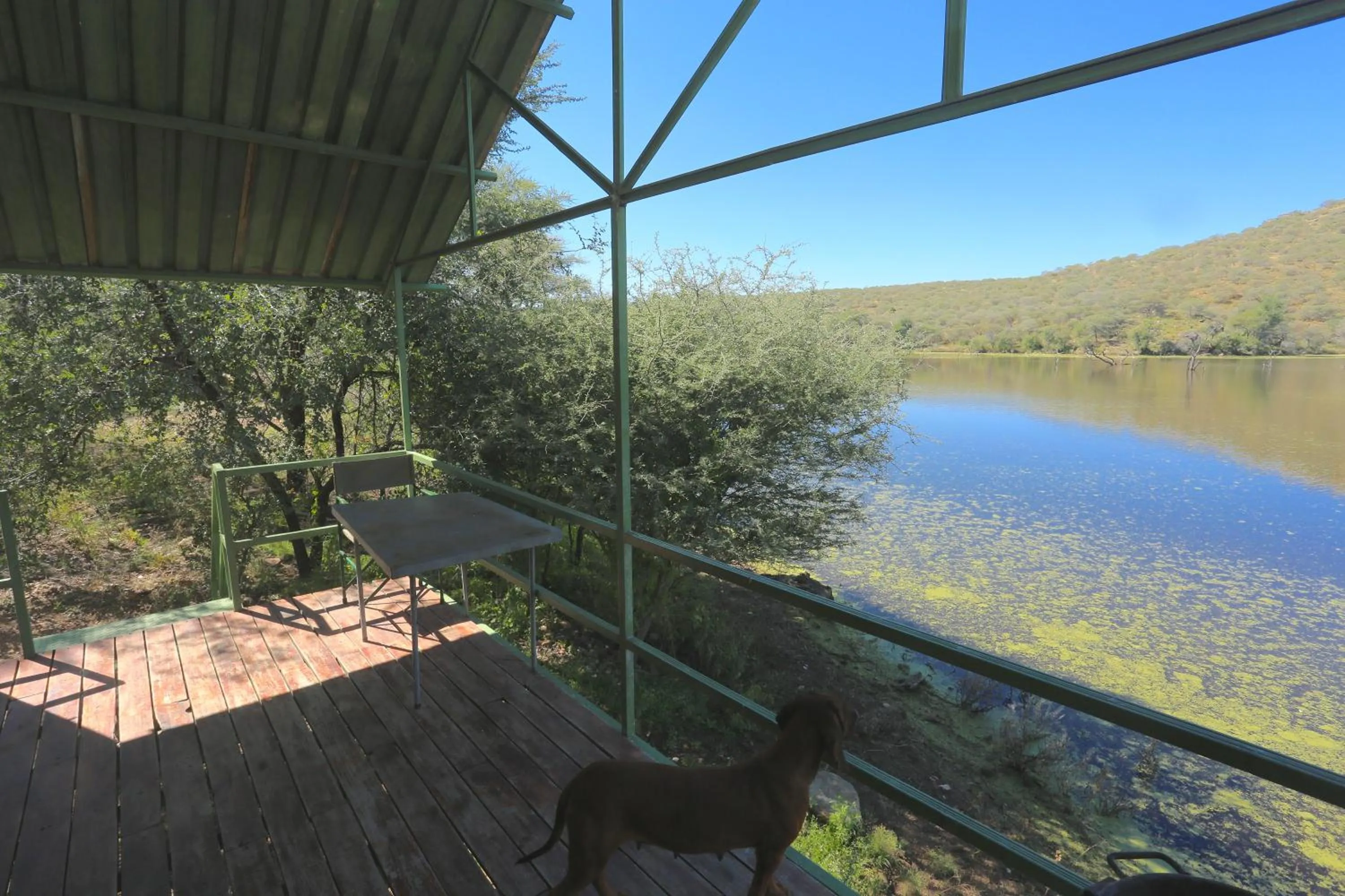 Balcony/Terrace in Düsternbrook Guest Farm