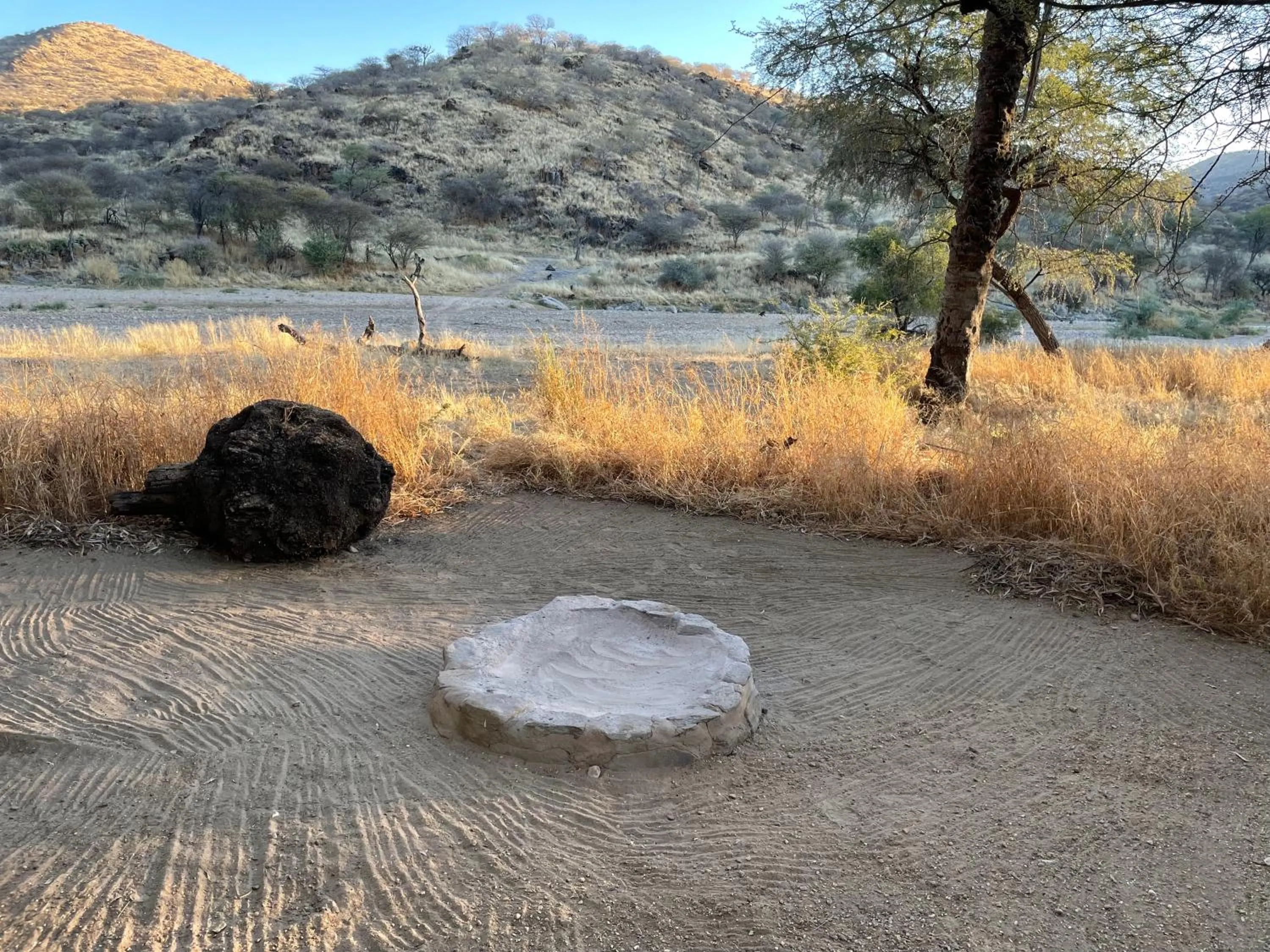 Natural landscape in Düsternbrook Guest Farm