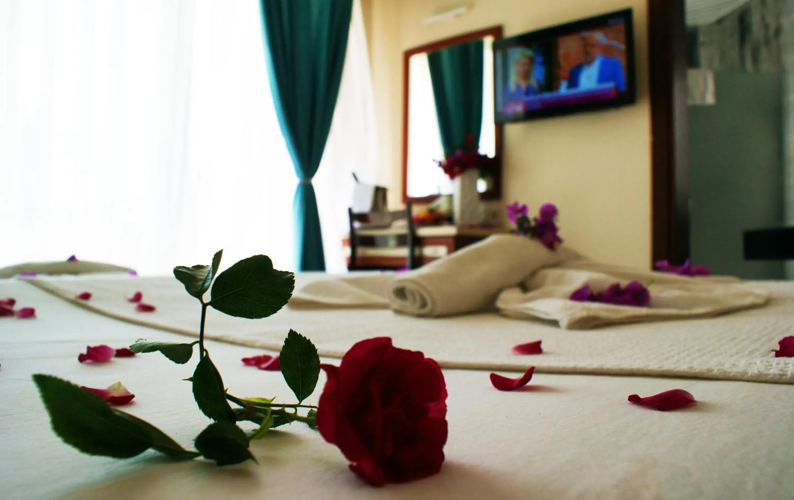 Bedroom in Kemer Hotel Bedroom in Kemer Hotel