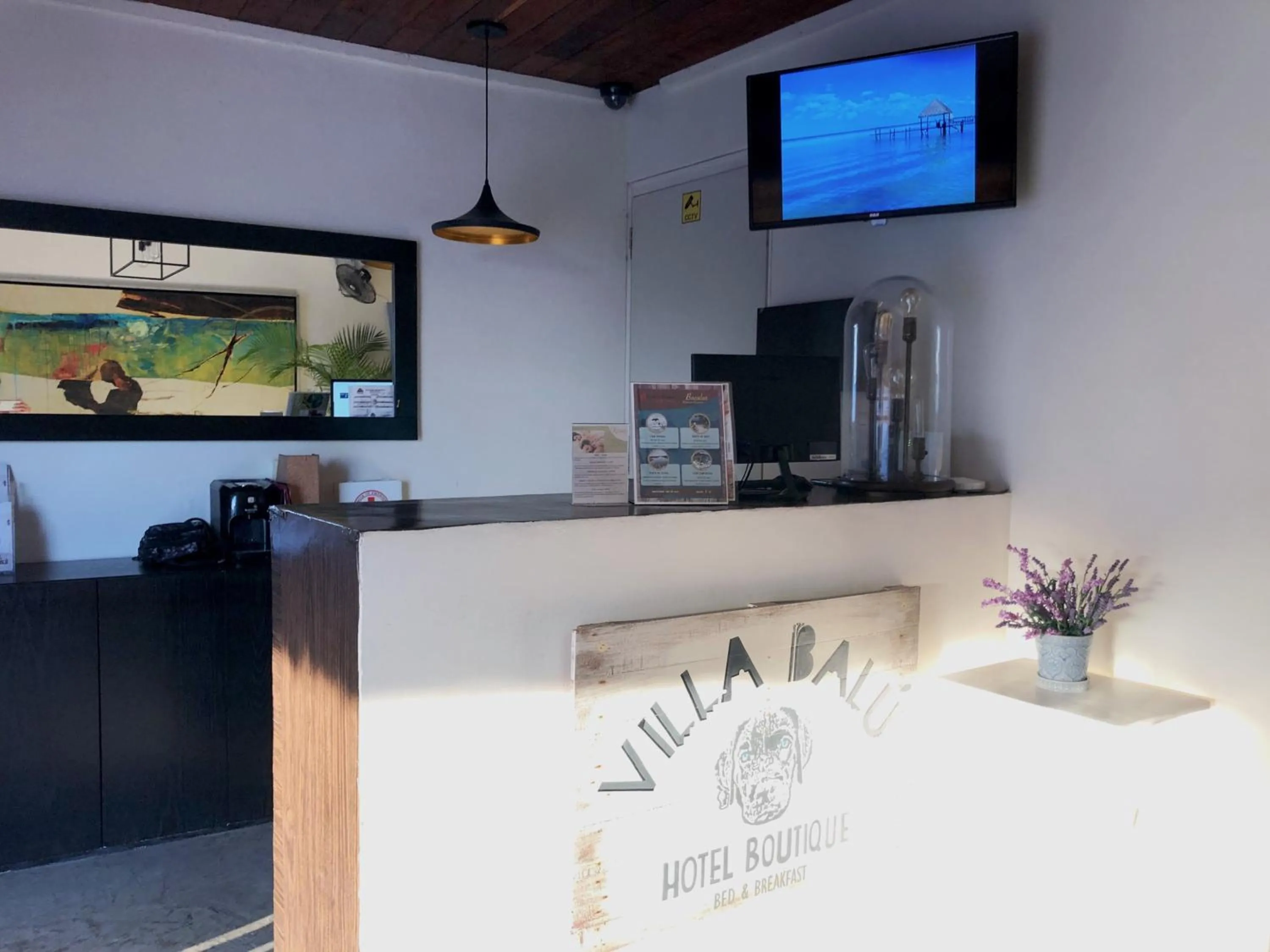 Lobby or reception in Hotel Villa Balu