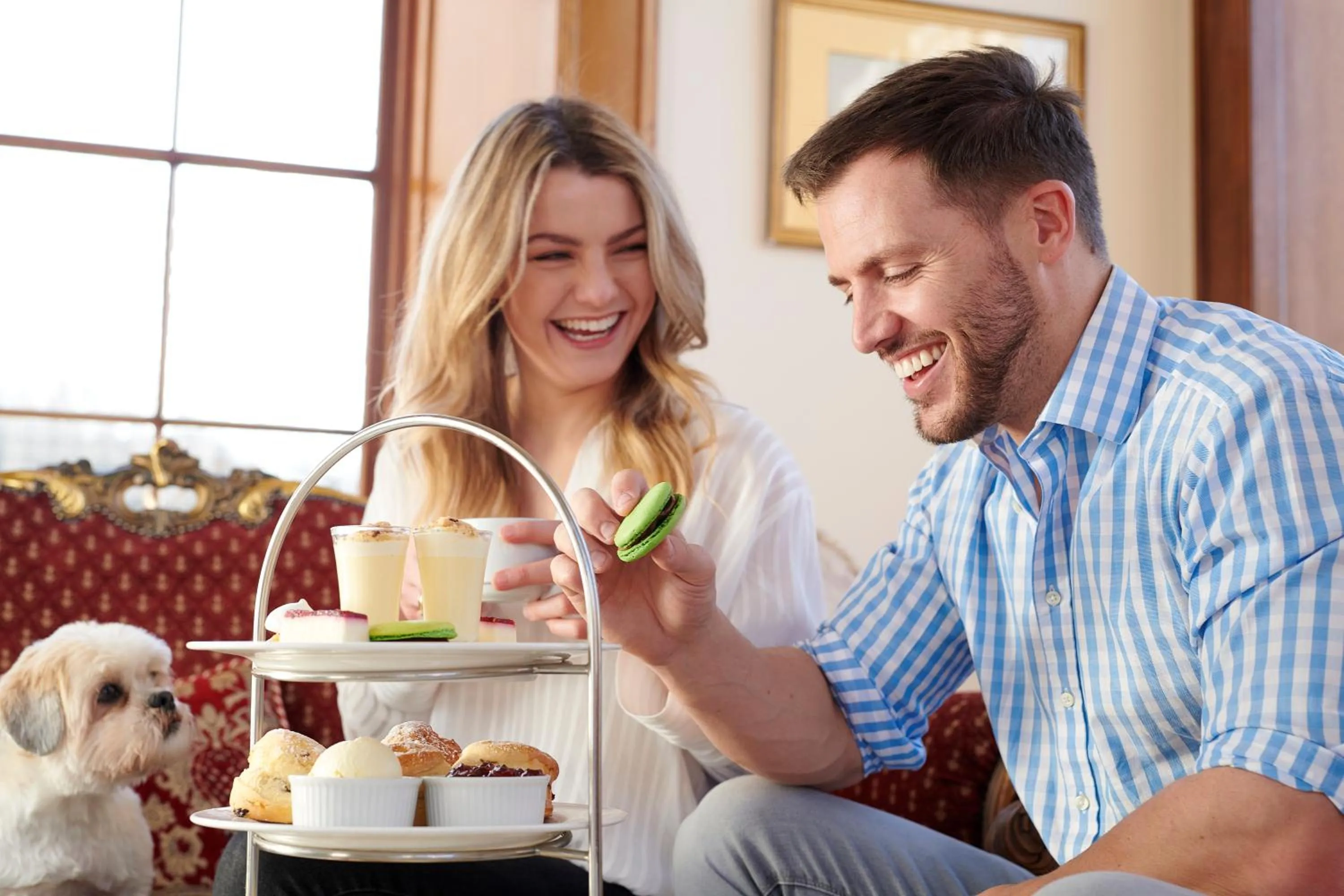 Food and drinks in Doxford Hall Hotel And Spa