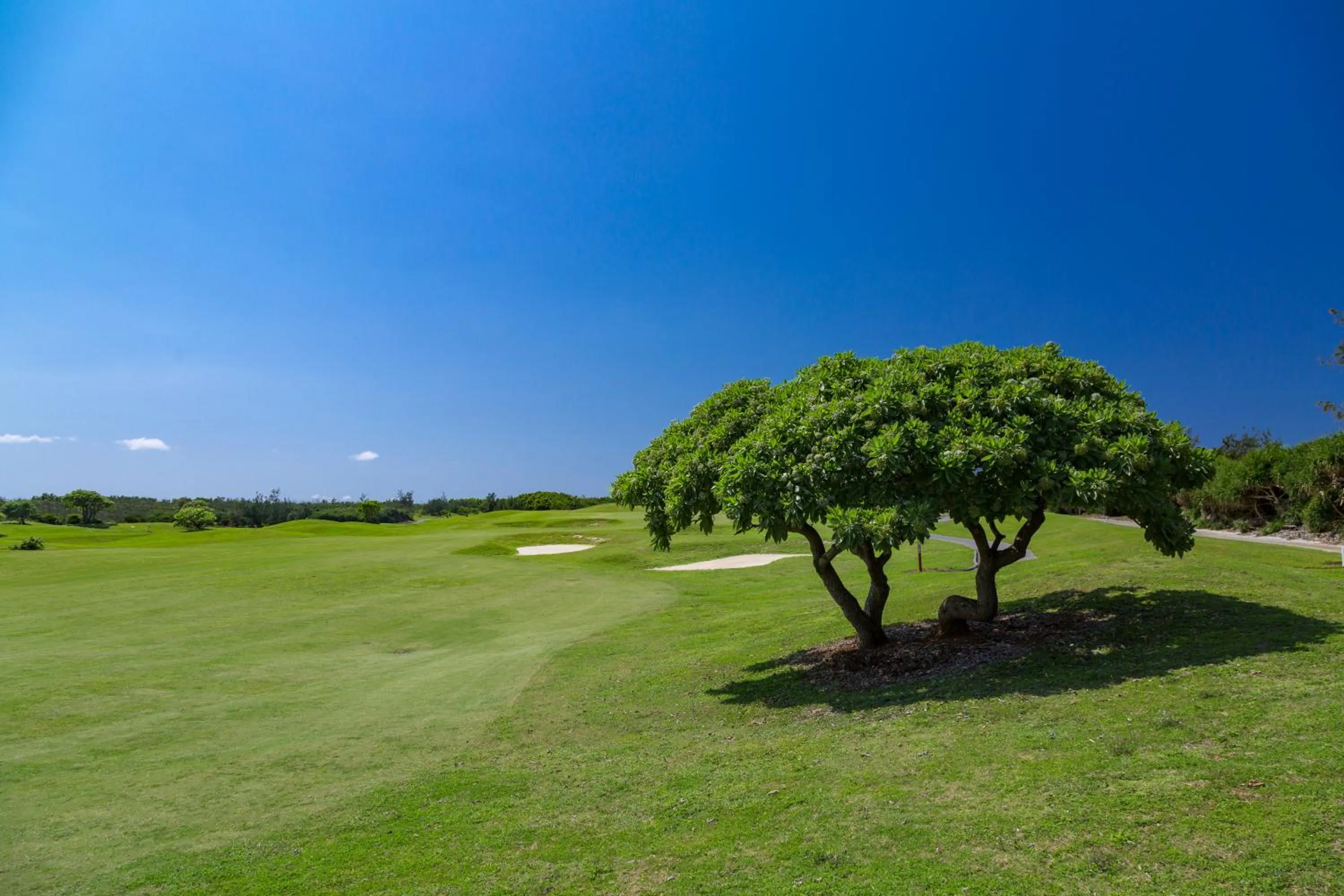 Golfcourse in Villa Vorla