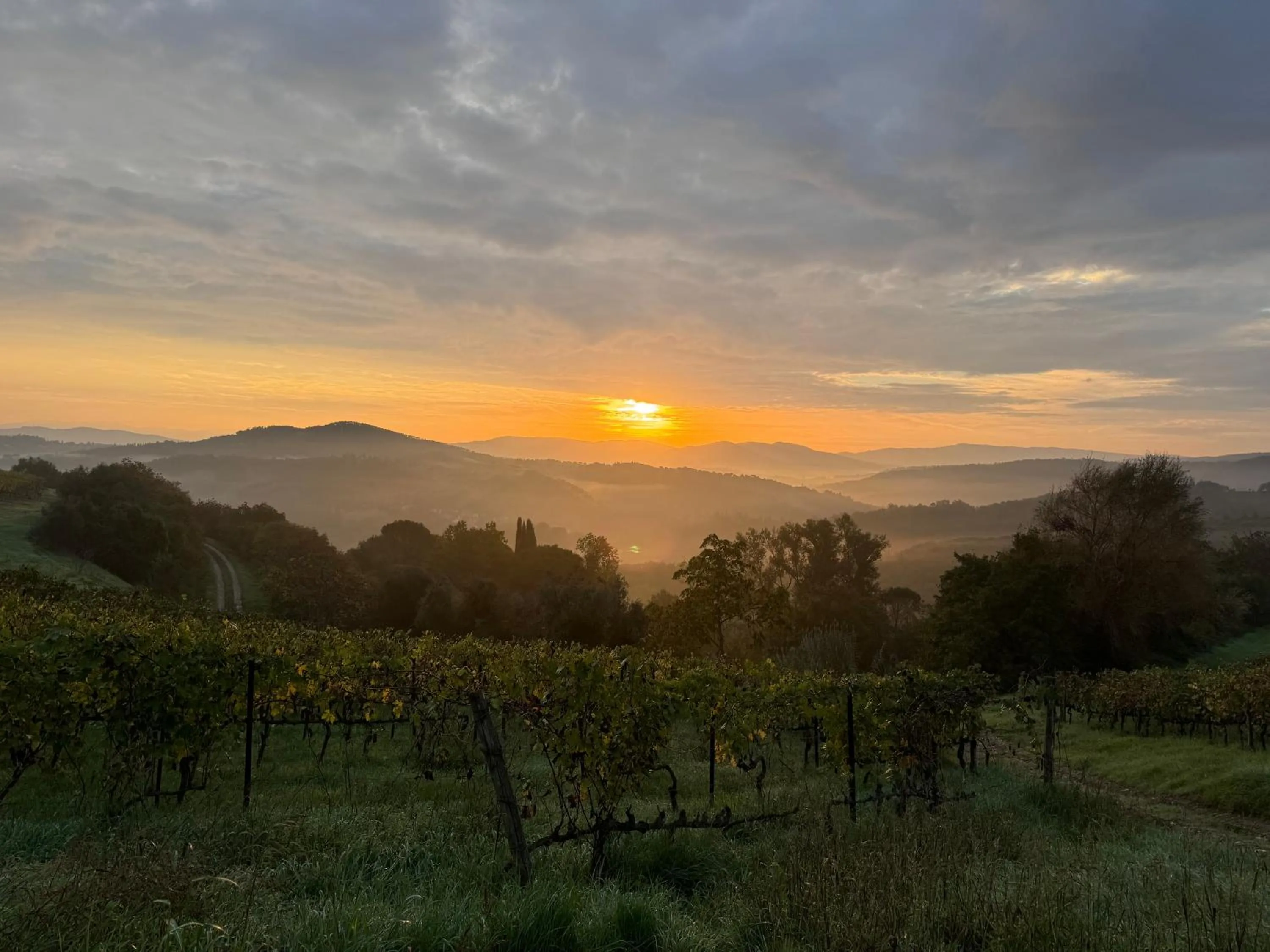 B&B La Fonte del Machiavelli
