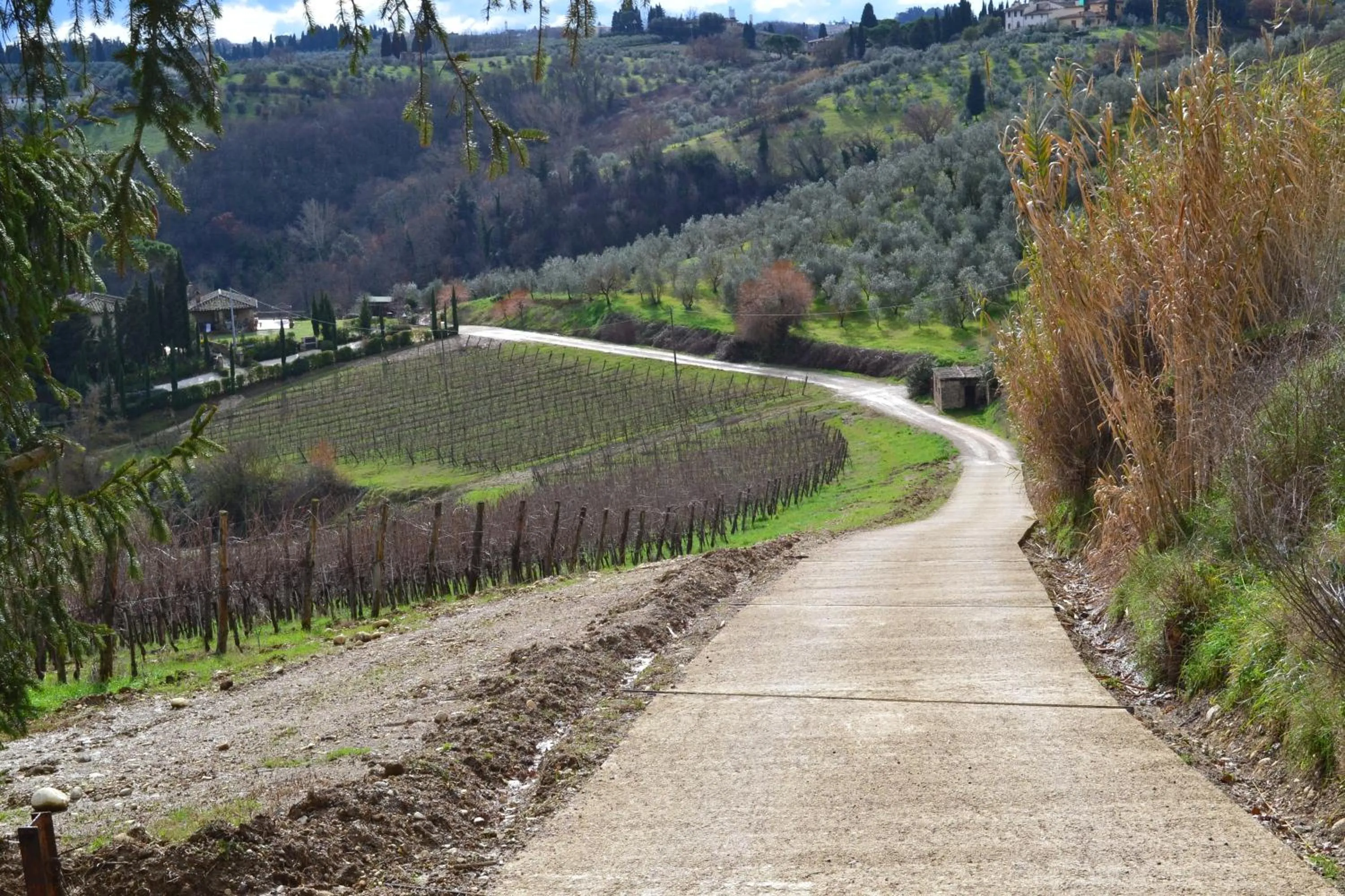 Other in B&B La Fonte del Machiavelli
