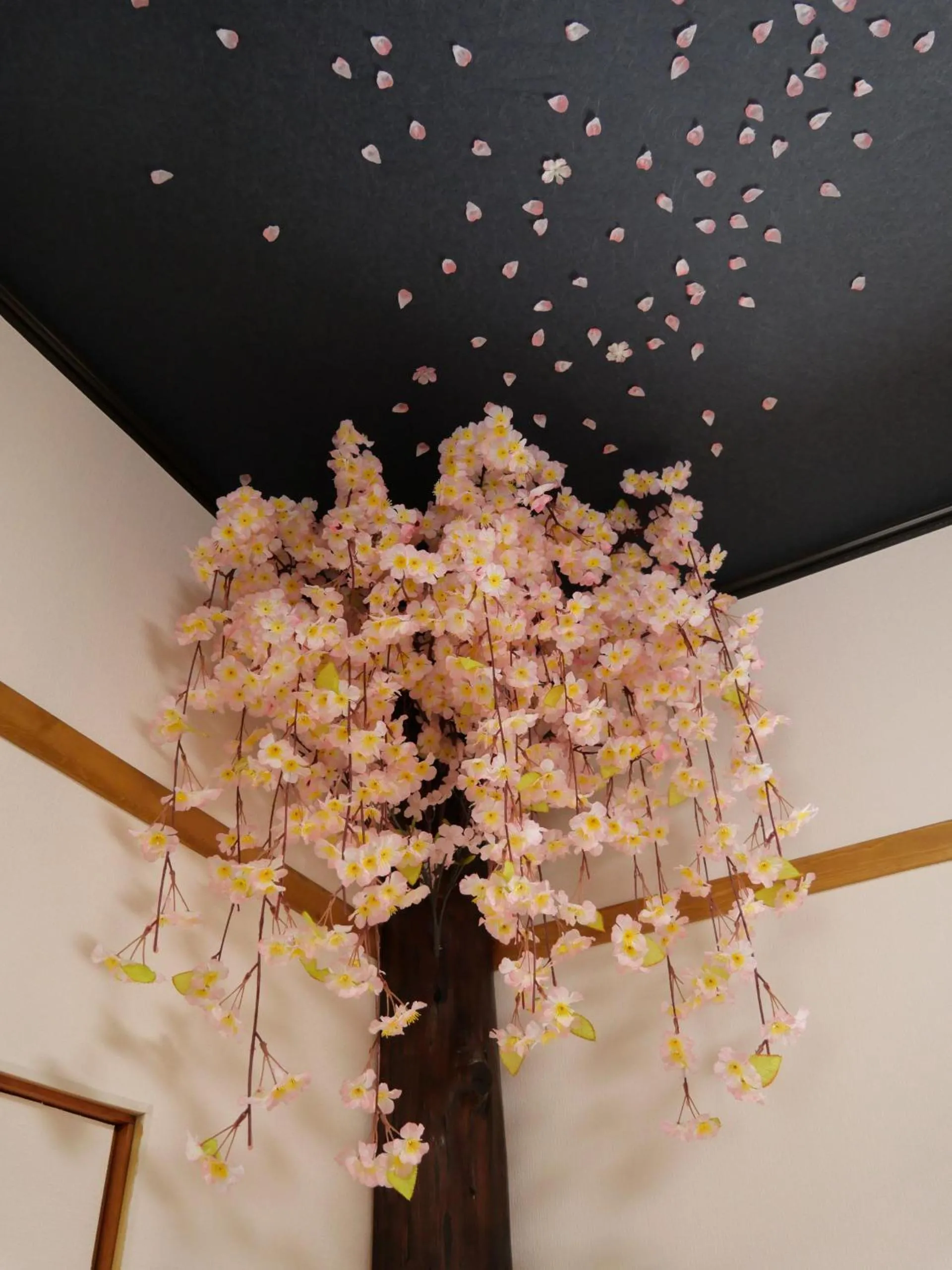 Other in SAKURA Aburaya