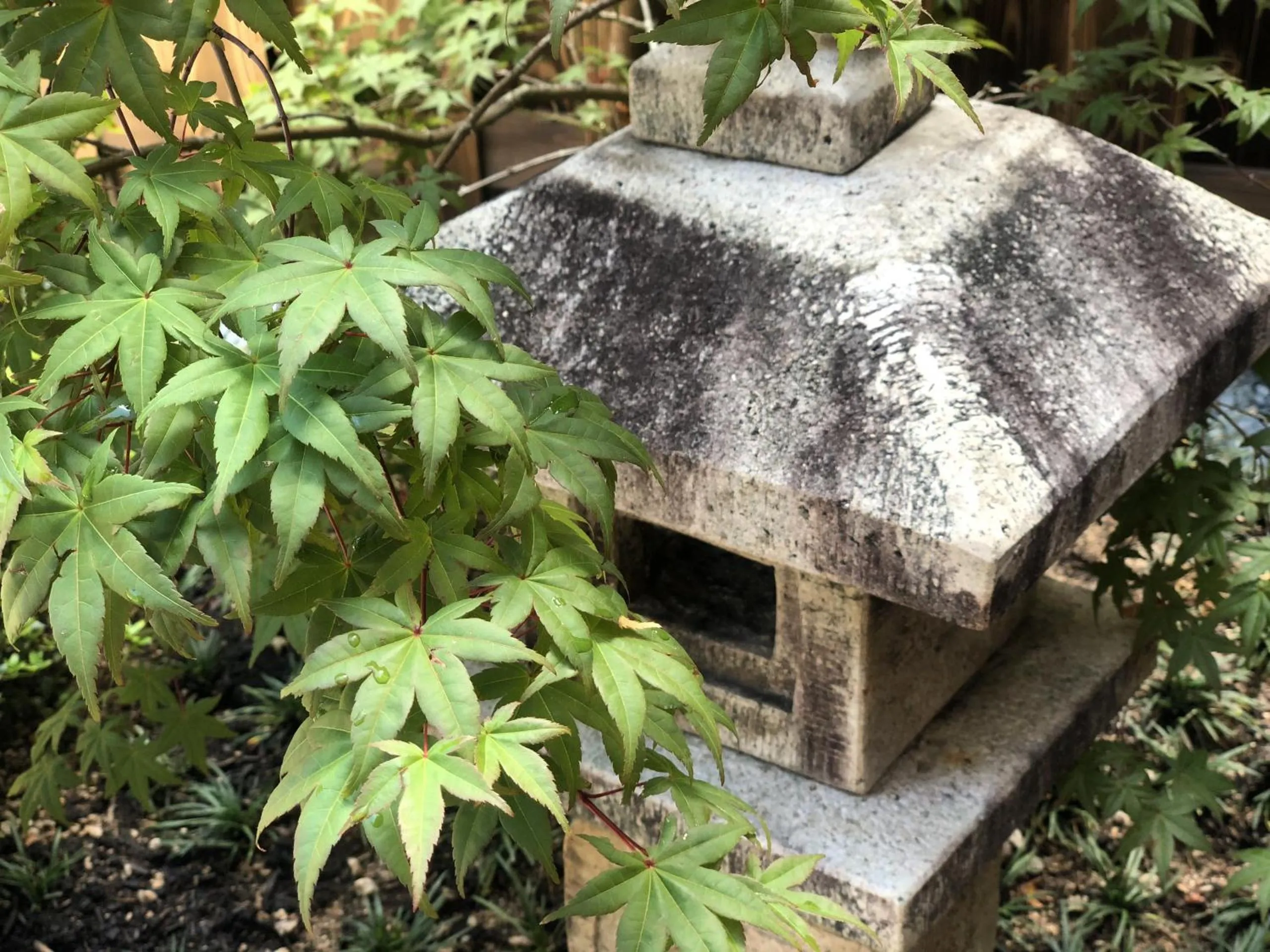 Patio in SAKURA Aburaya