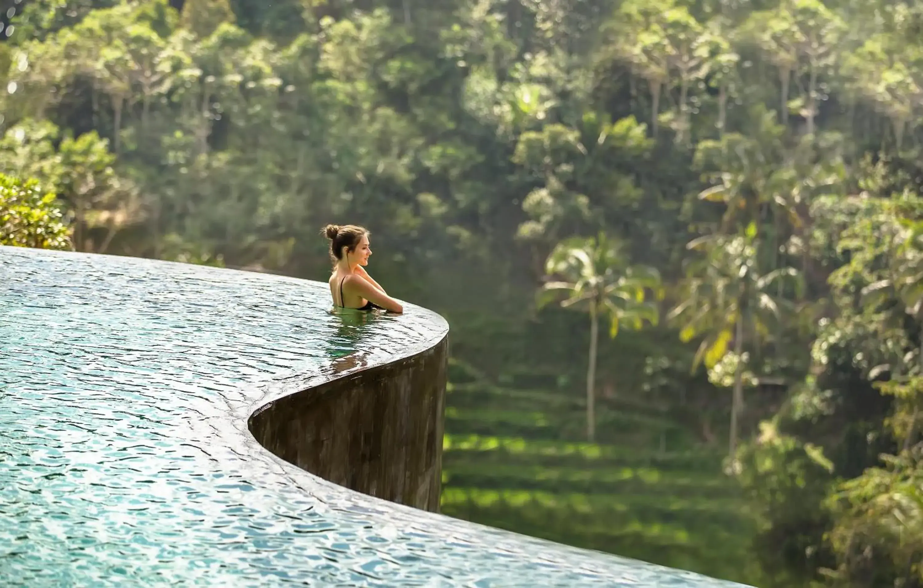 Swimming pool, Other Animals in The Kayon Jungle Resort