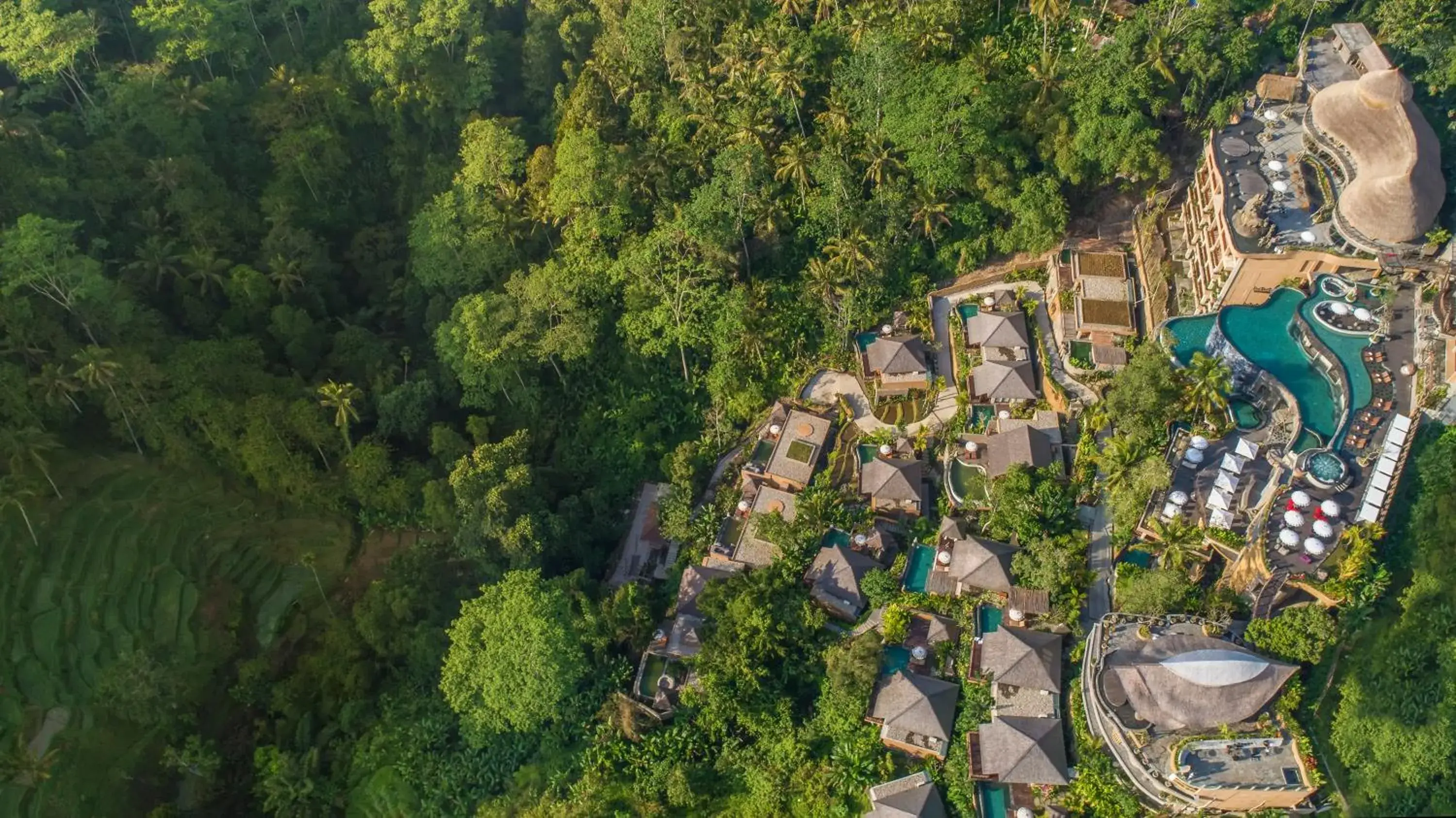 Bird's eye view, Bird's-eye View in The Kayon Jungle Resort