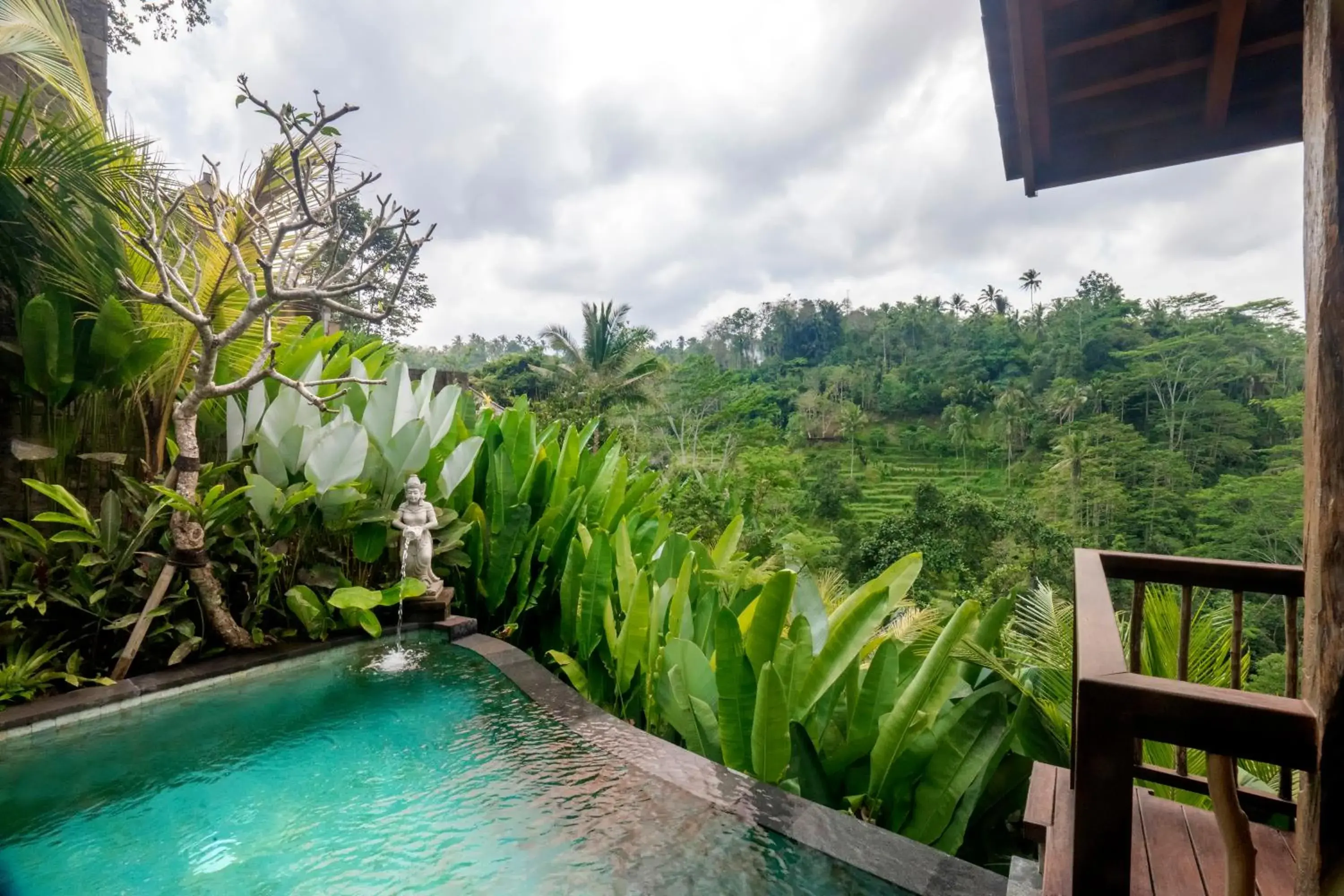 Mountain view, Pool View in The Kayon Jungle Resort