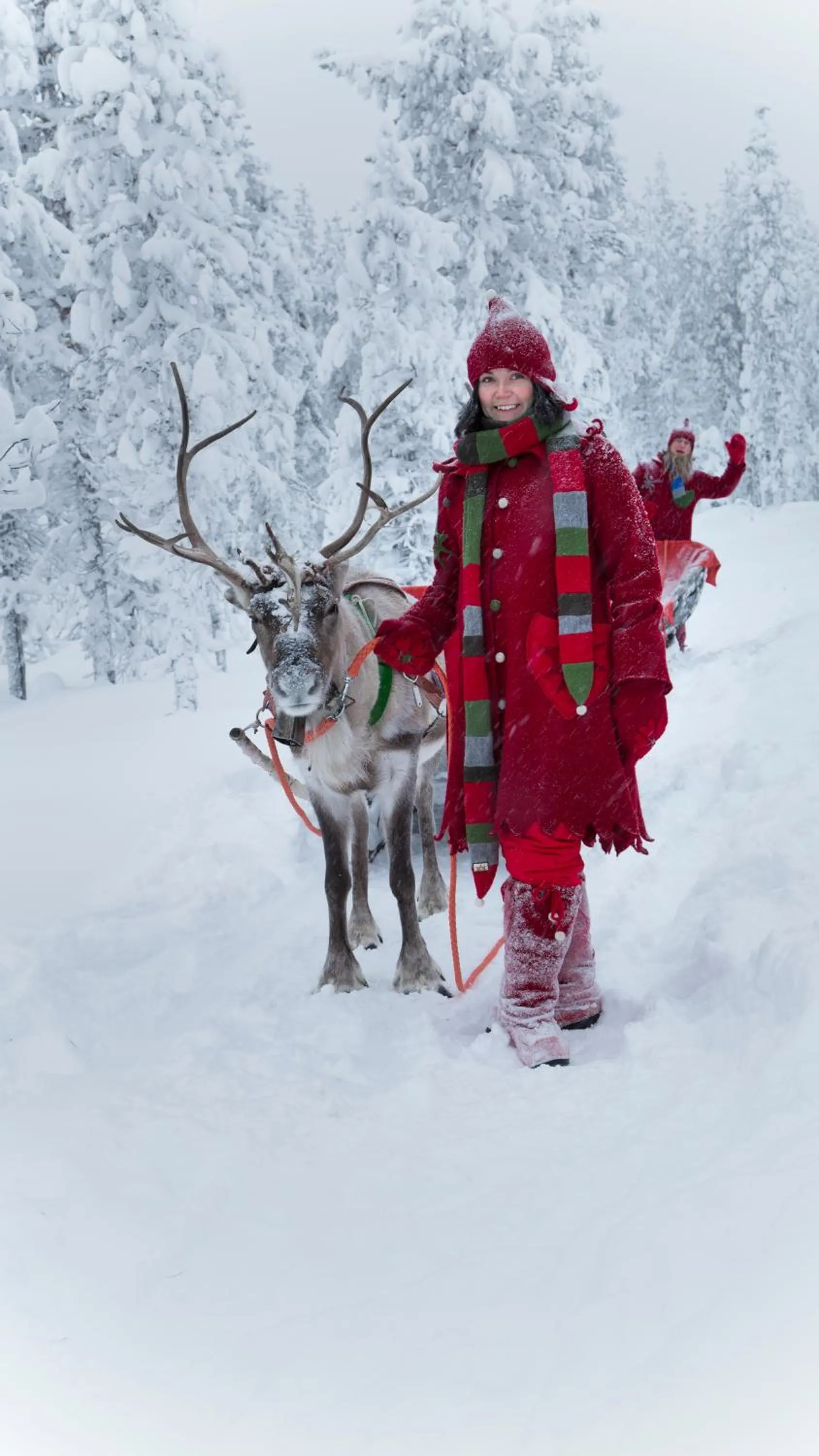 Activities in Lapland Hotels Bear´s Lodge