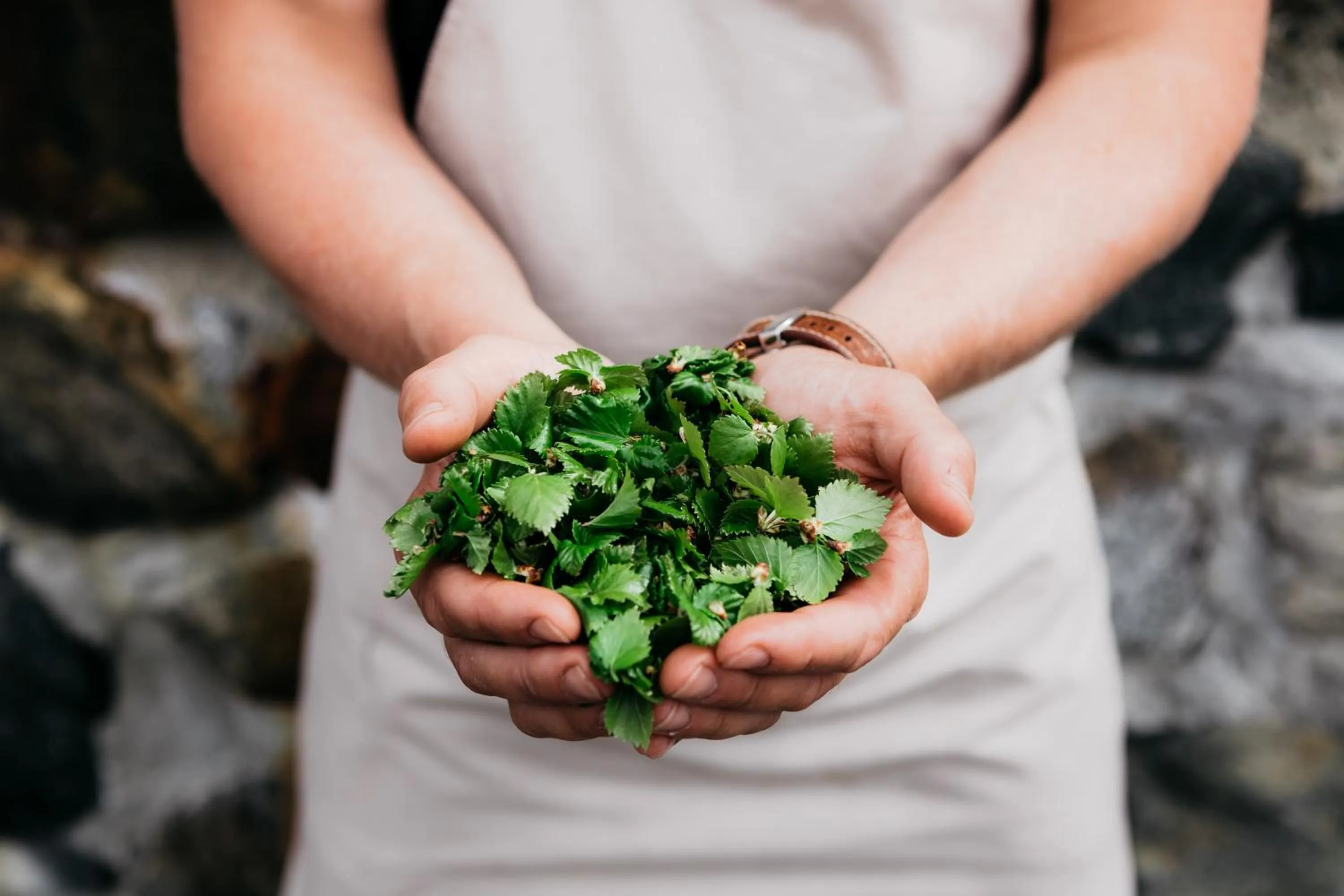 Food and drinks in Lapland Hotels Kilpis