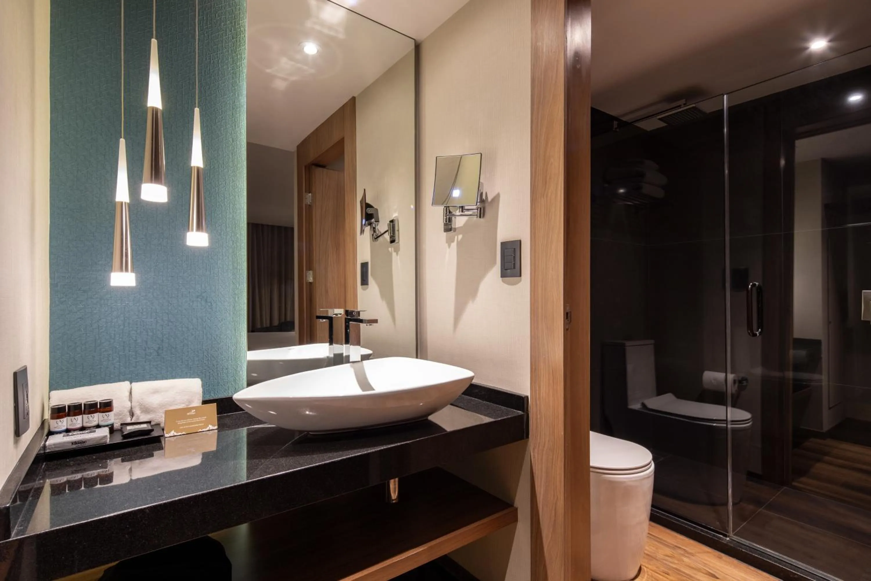 Toilet in Hotel Real del Rio