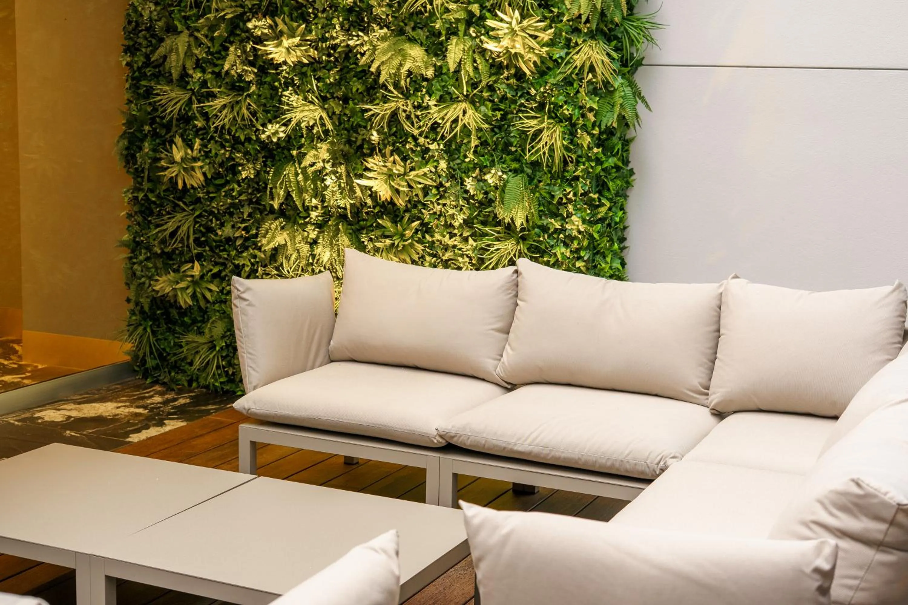 Patio in Hotel Real del Rio