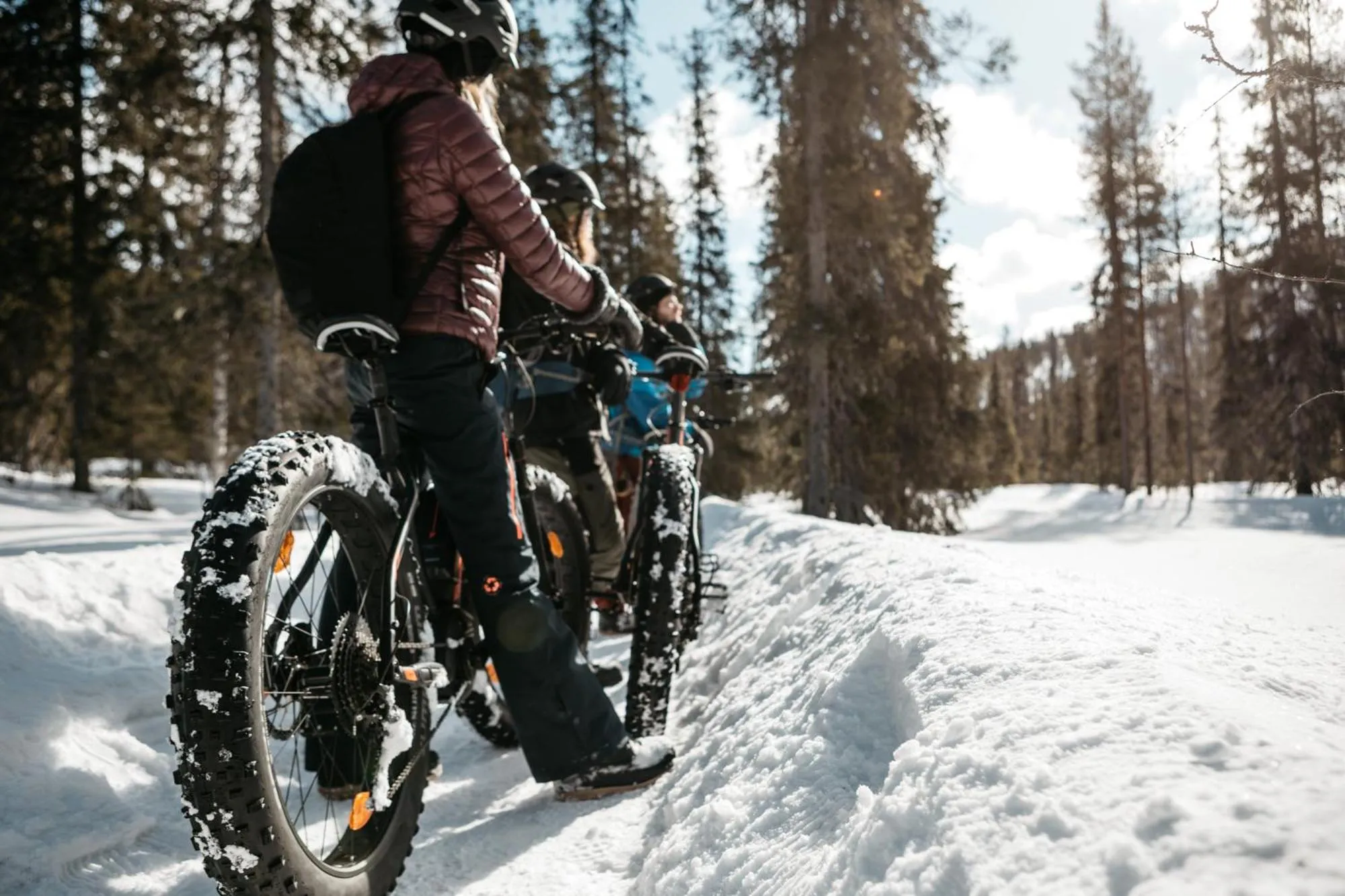 Activities in Lapland Hotels Hetta