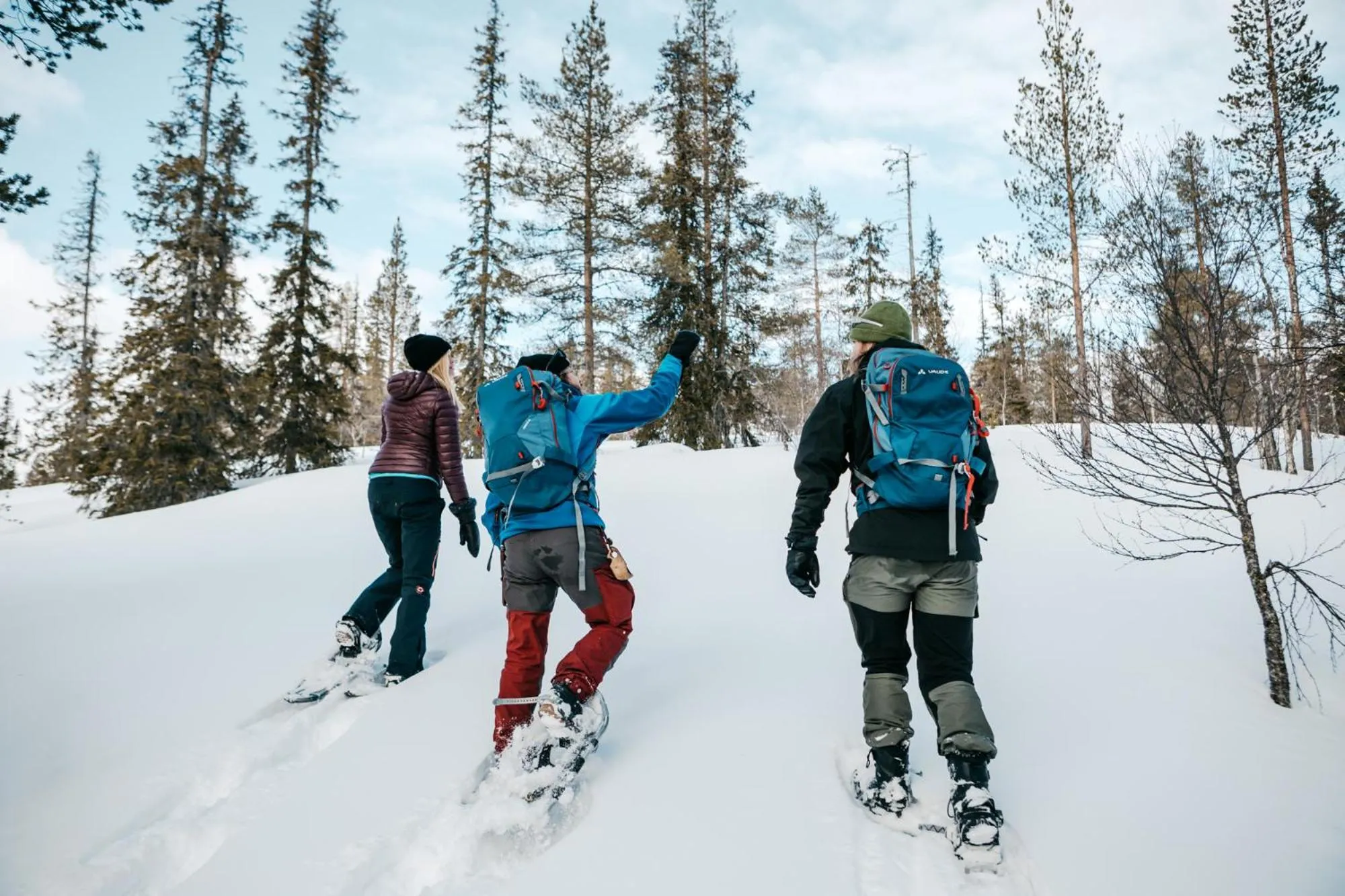 Activities in Lapland Hotels Hetta