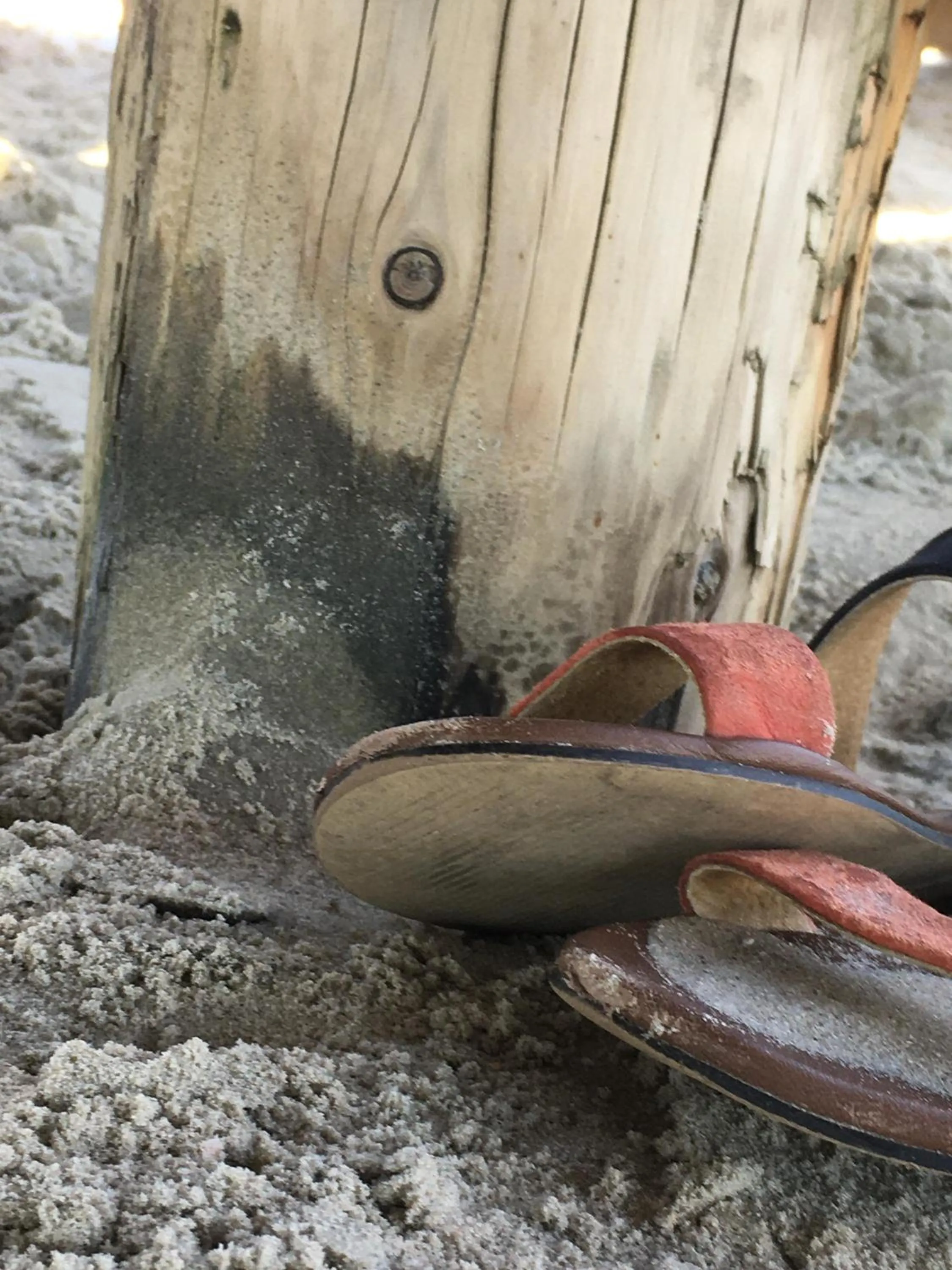 Beach in Hotel TWEED