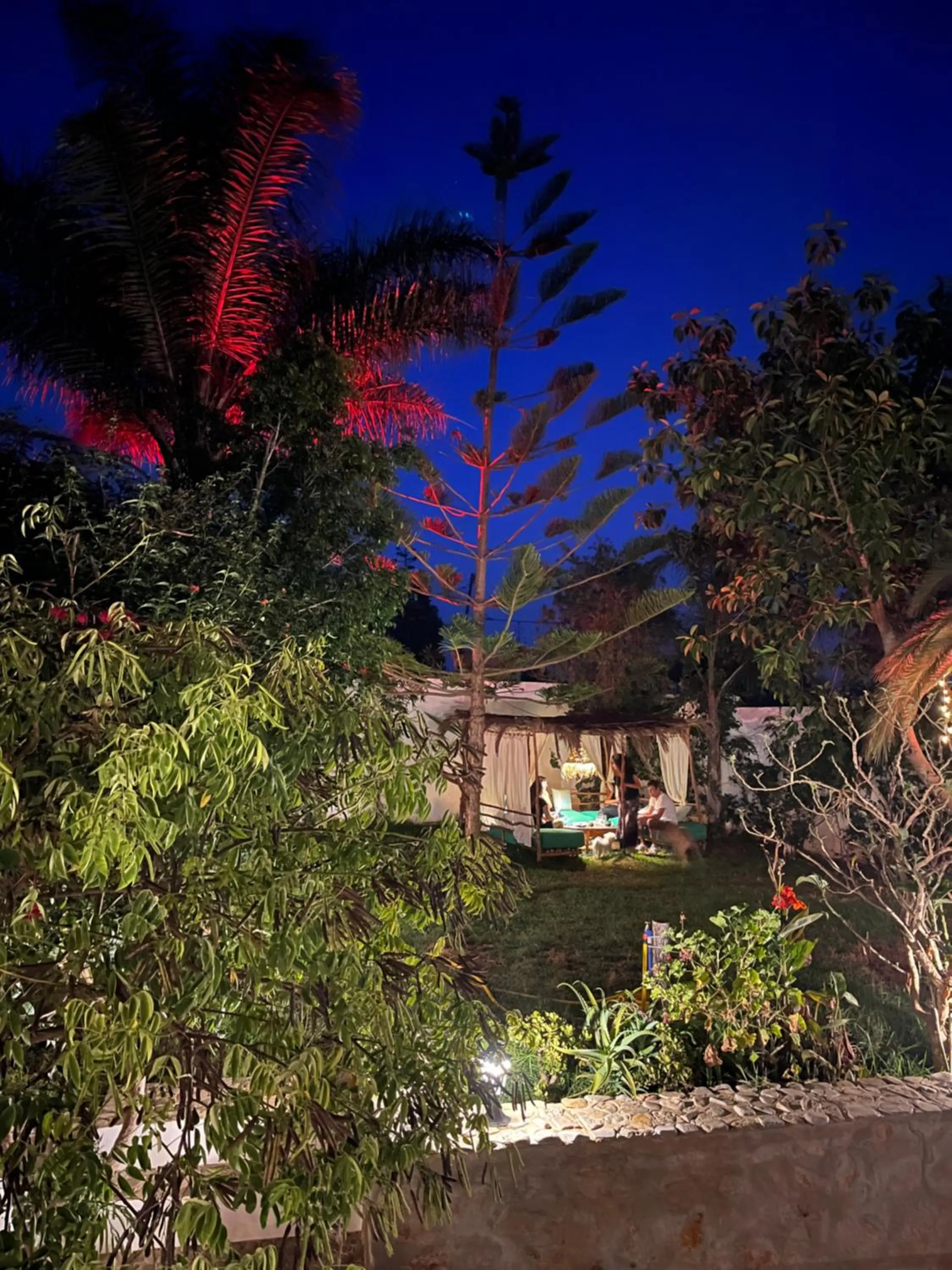 Garden view in Maison d'hotes Berbari