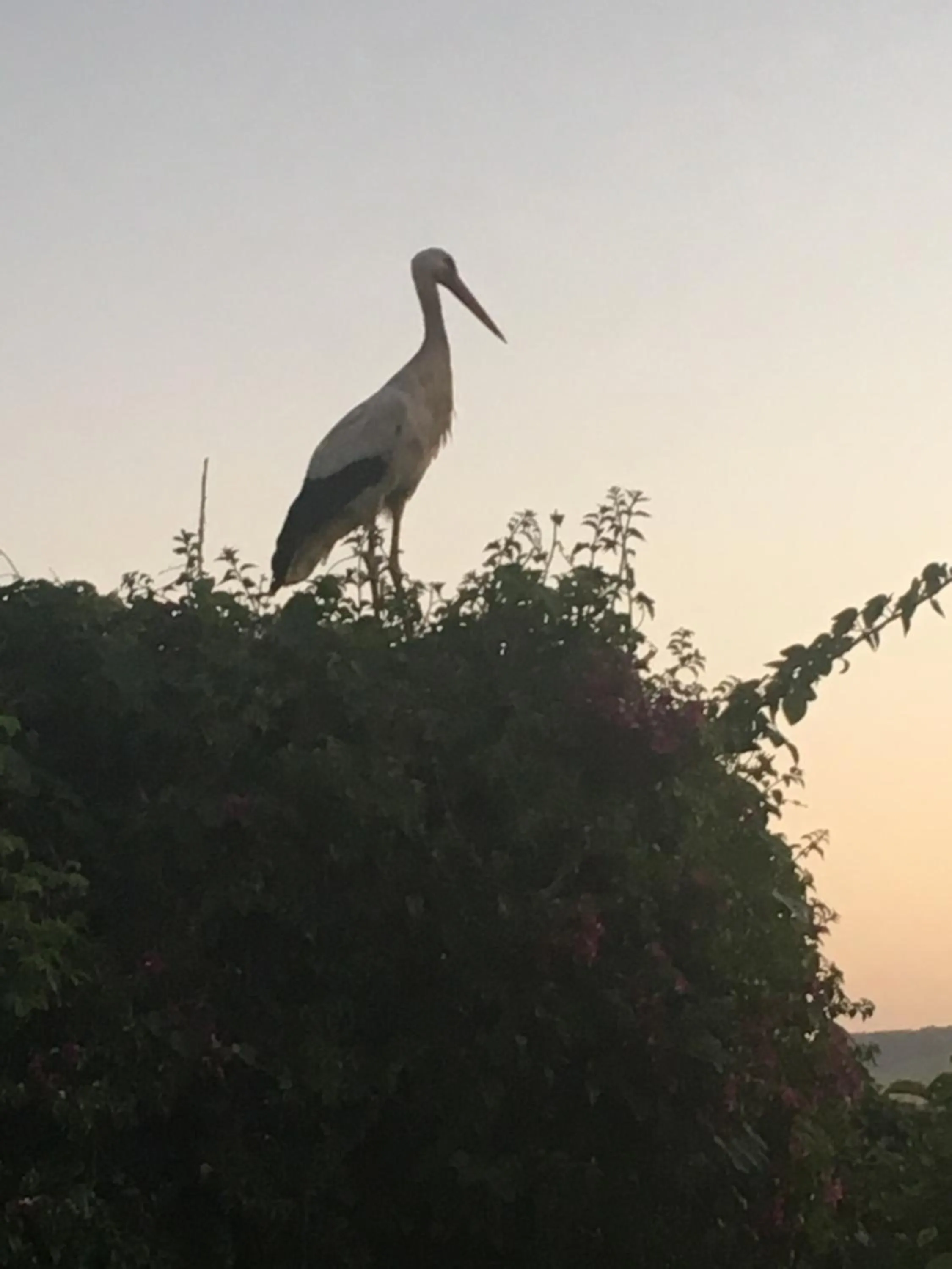 Sunset in Maison d'hotes Berbari