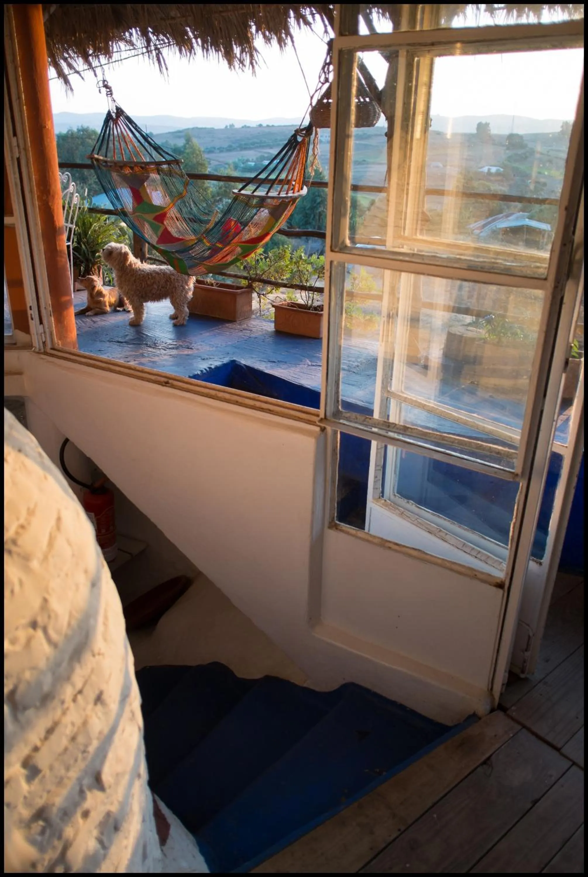 Decorative detail in Maison d'hotes Berbari