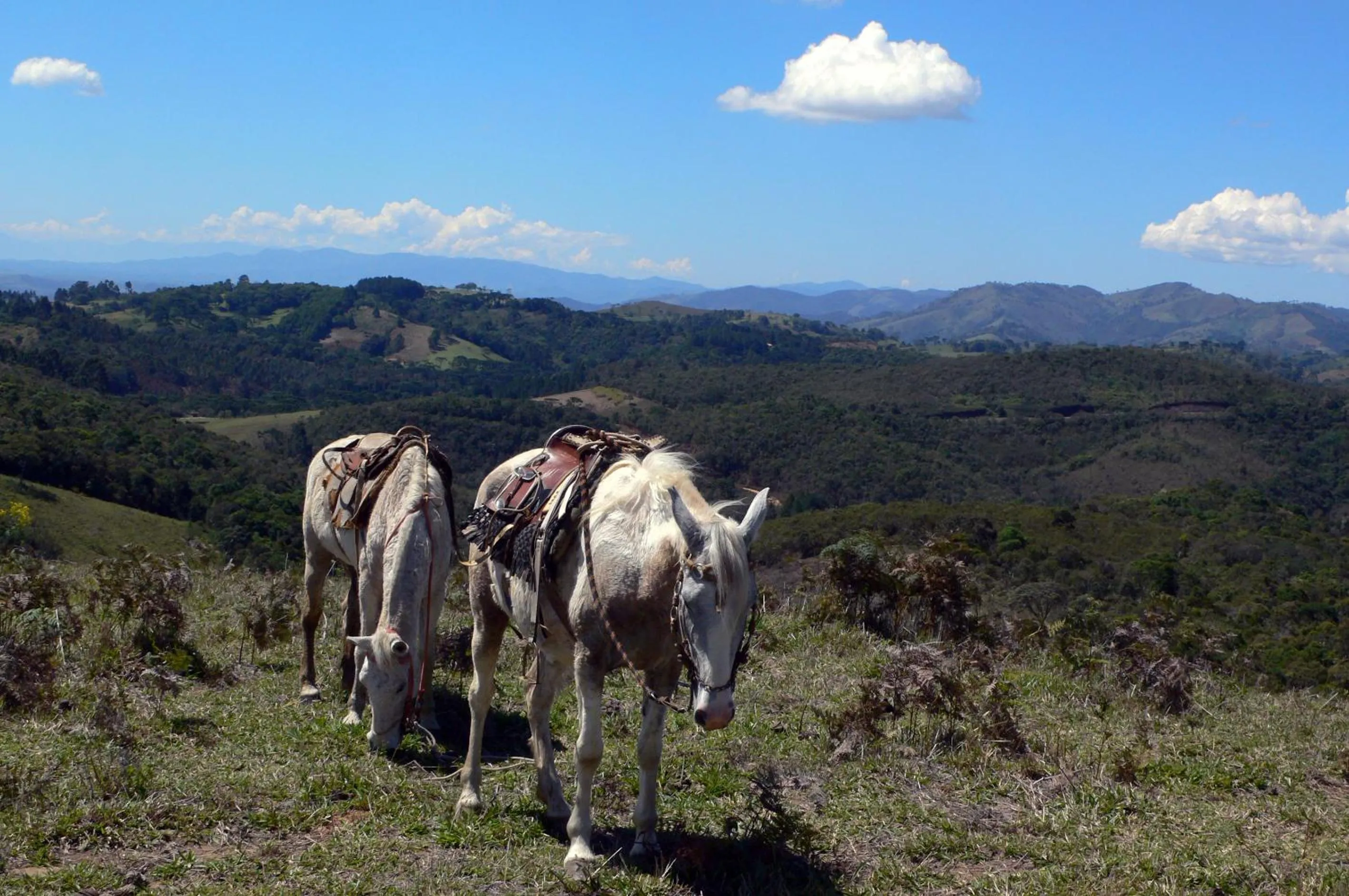 Horse-riding in Pousada dos Anjos