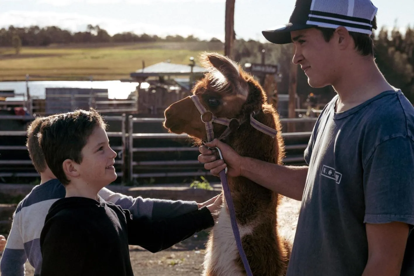 children in Hunter Valley Resort, Hunter Farm Adventure Centre & 4 Pines at the Farm