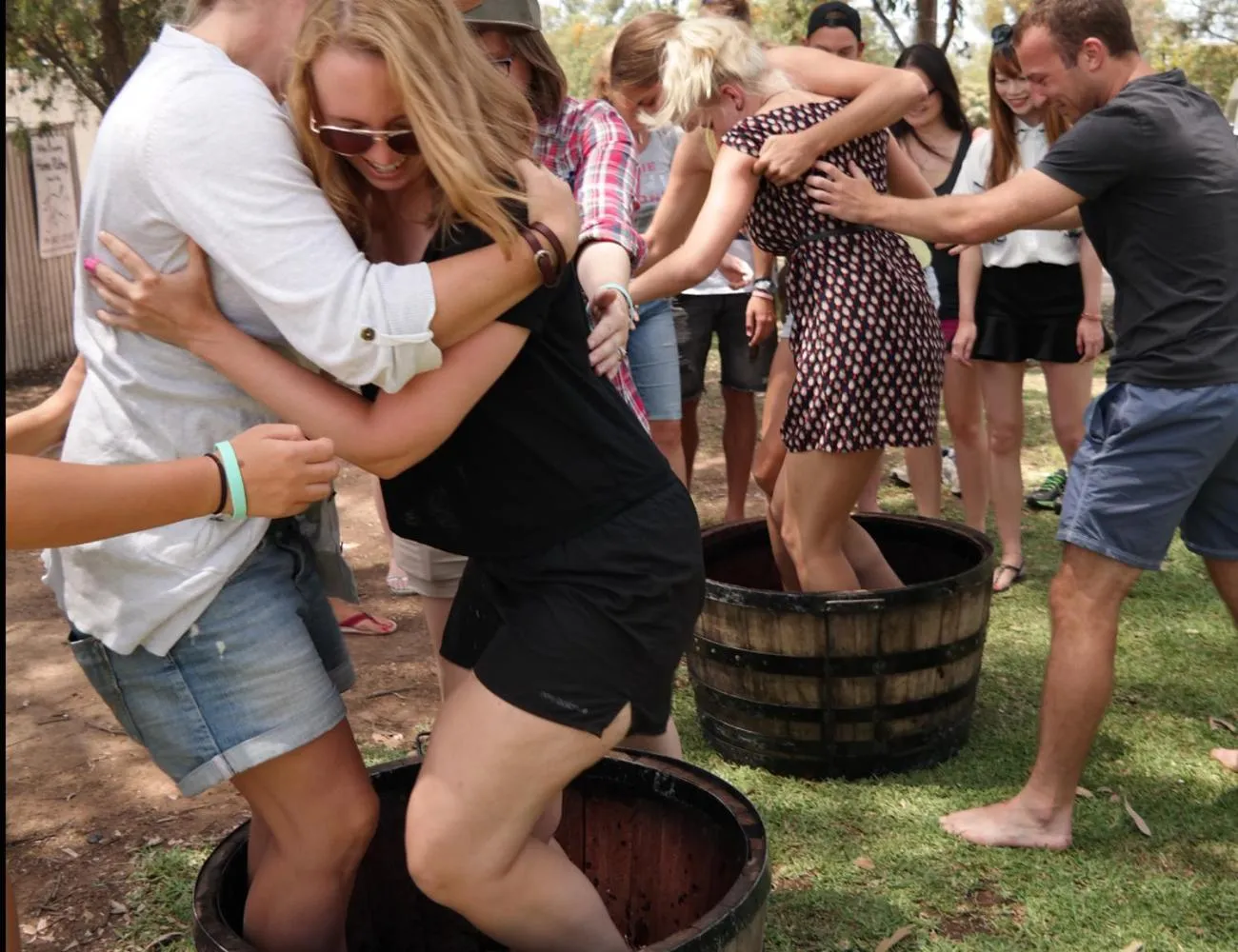 Activities in Hunter Valley Resort, Hunter Farm Adventure Centre & 4 Pines at the Farm