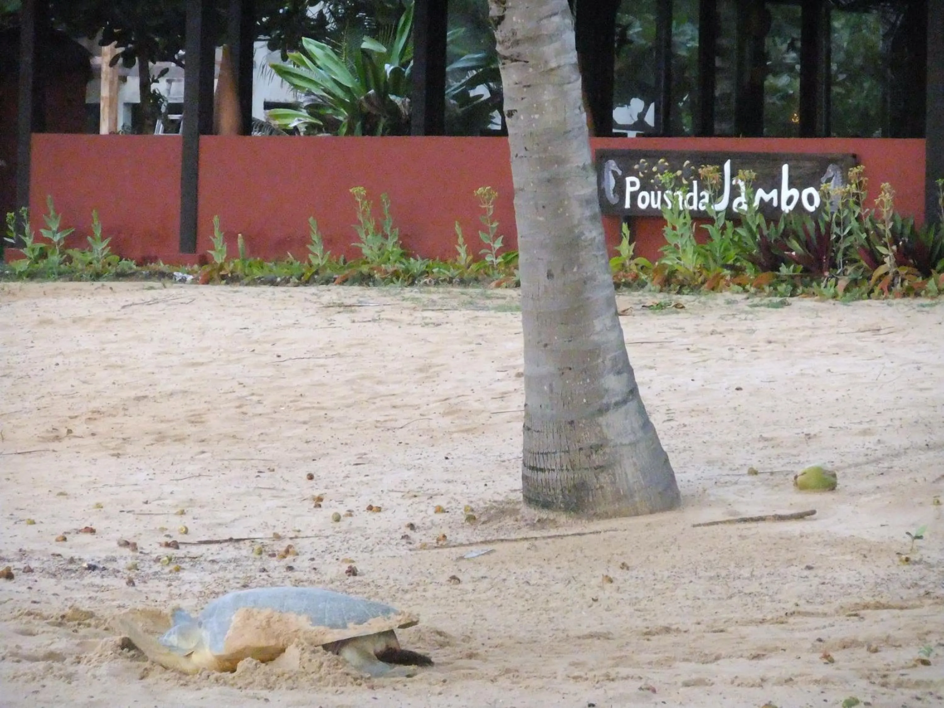 Facade/entrance in Pousada Jambo