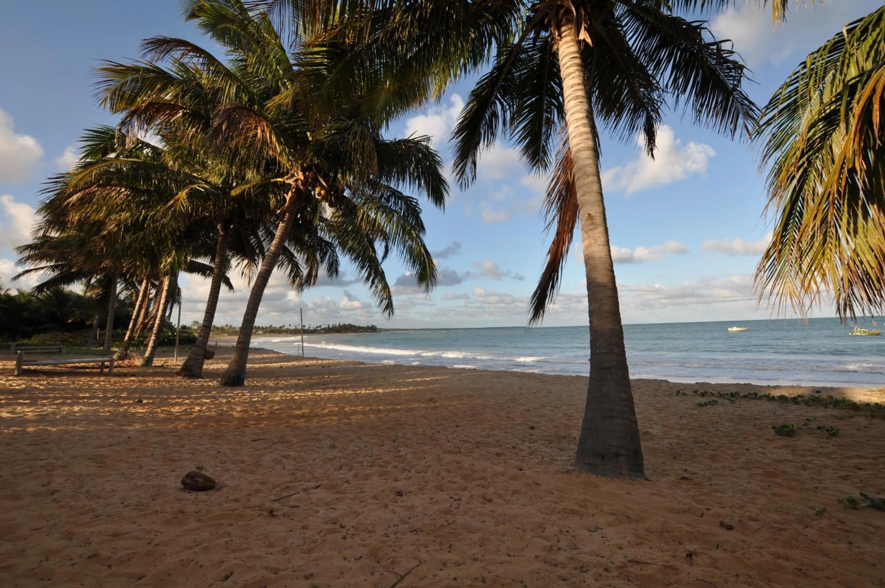 Area and facilities in Pousada Jambo