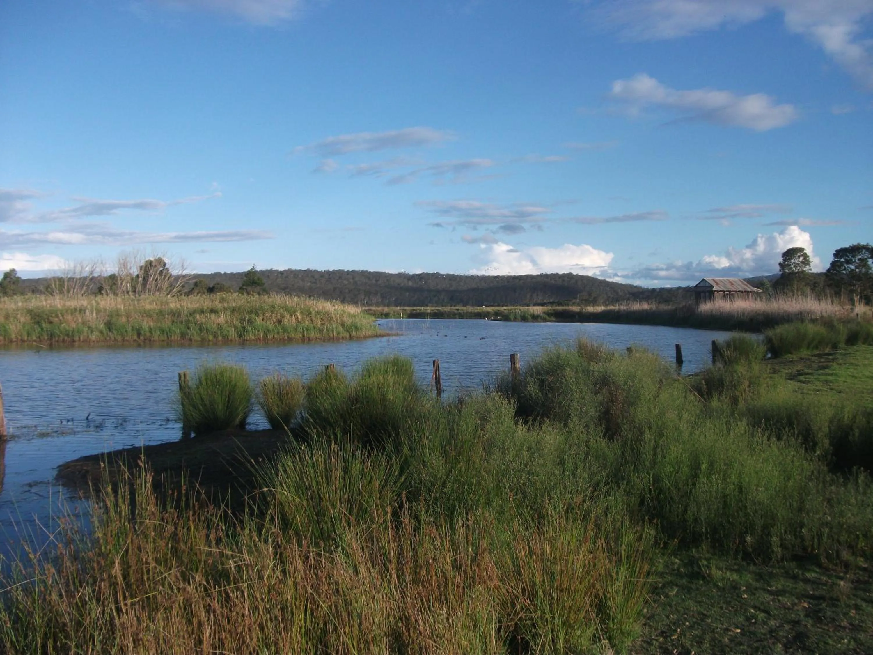 Day in Idlewilde Town & Country Motor Inn