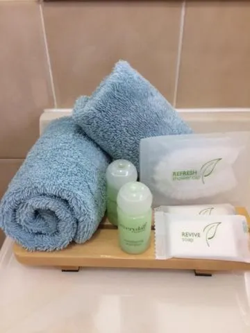 Bathroom in Idlewilde Town & Country Motor Inn