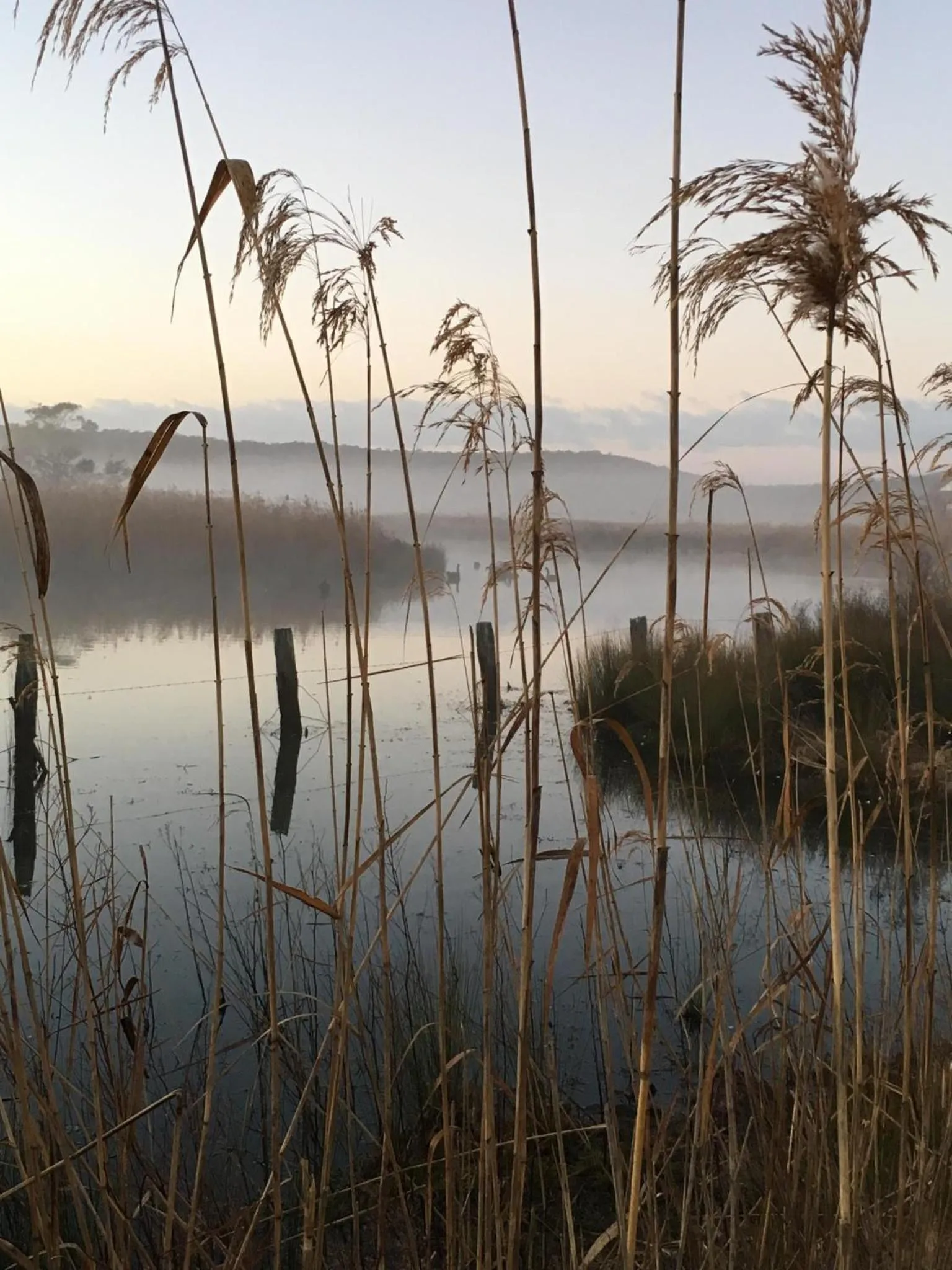 Natural landscape in Idlewilde Town & Country Motor Inn