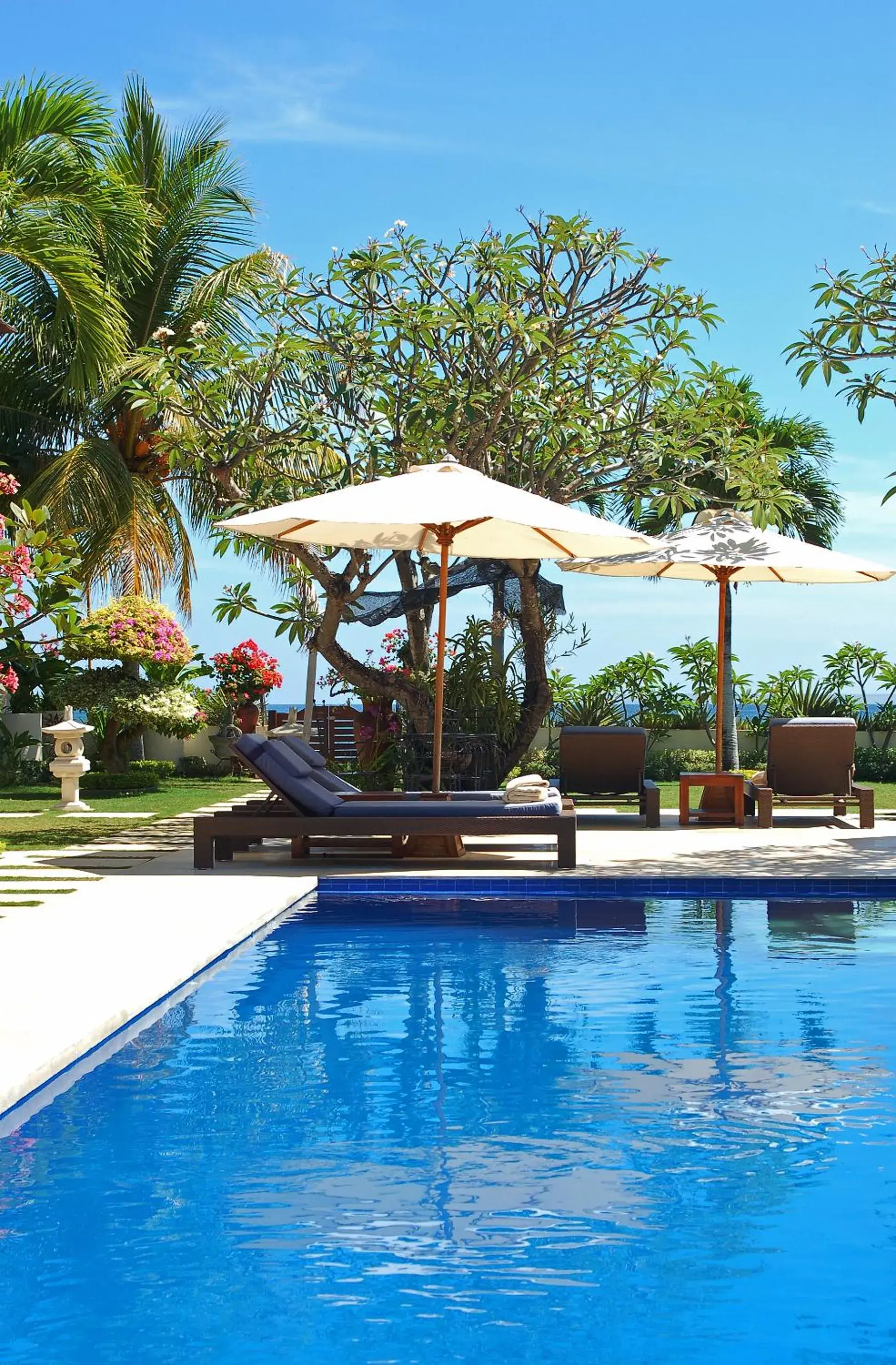 Swimming pool in Frangipani Beach Hotel Swimming pool in Frangipani Beach Hotel