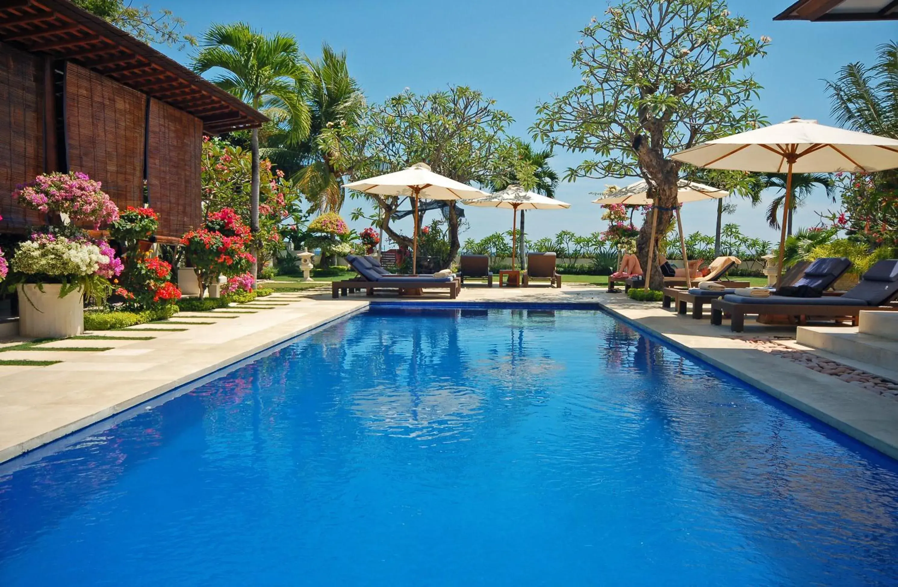 Swimming pool in Frangipani Beach Hotel Swimming pool in Frangipani Beach Hotel