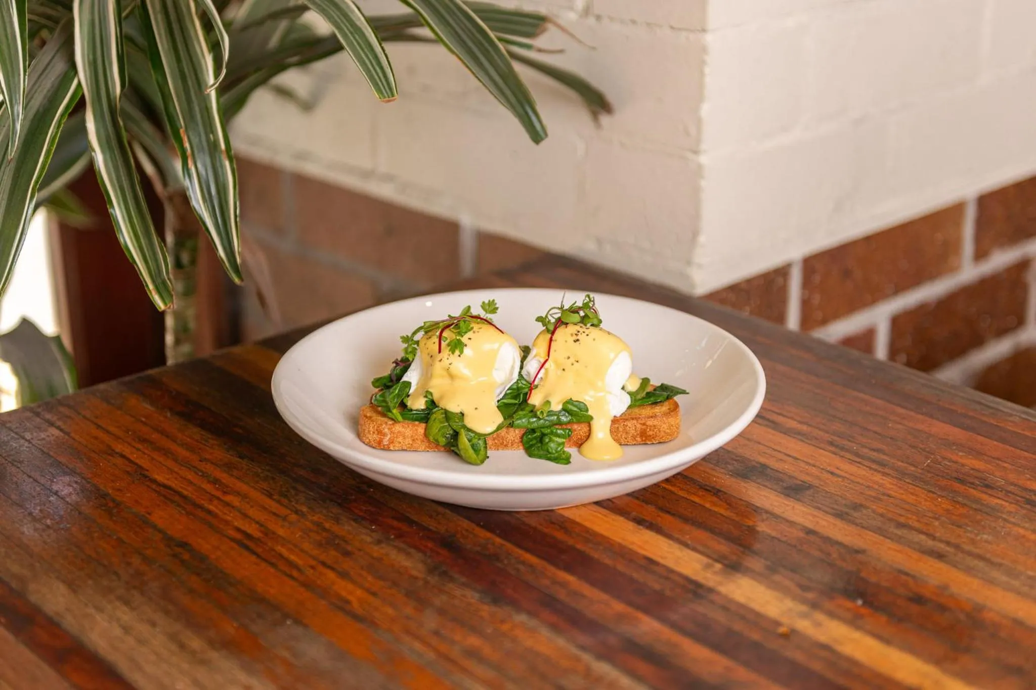 Breakfast in Roamer Brisbane