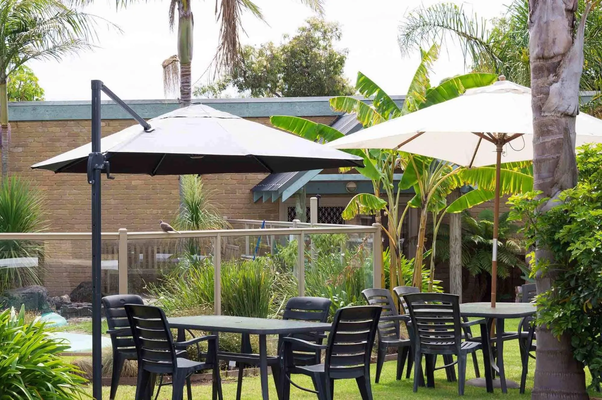 Garden in Tropicana Motor Inn