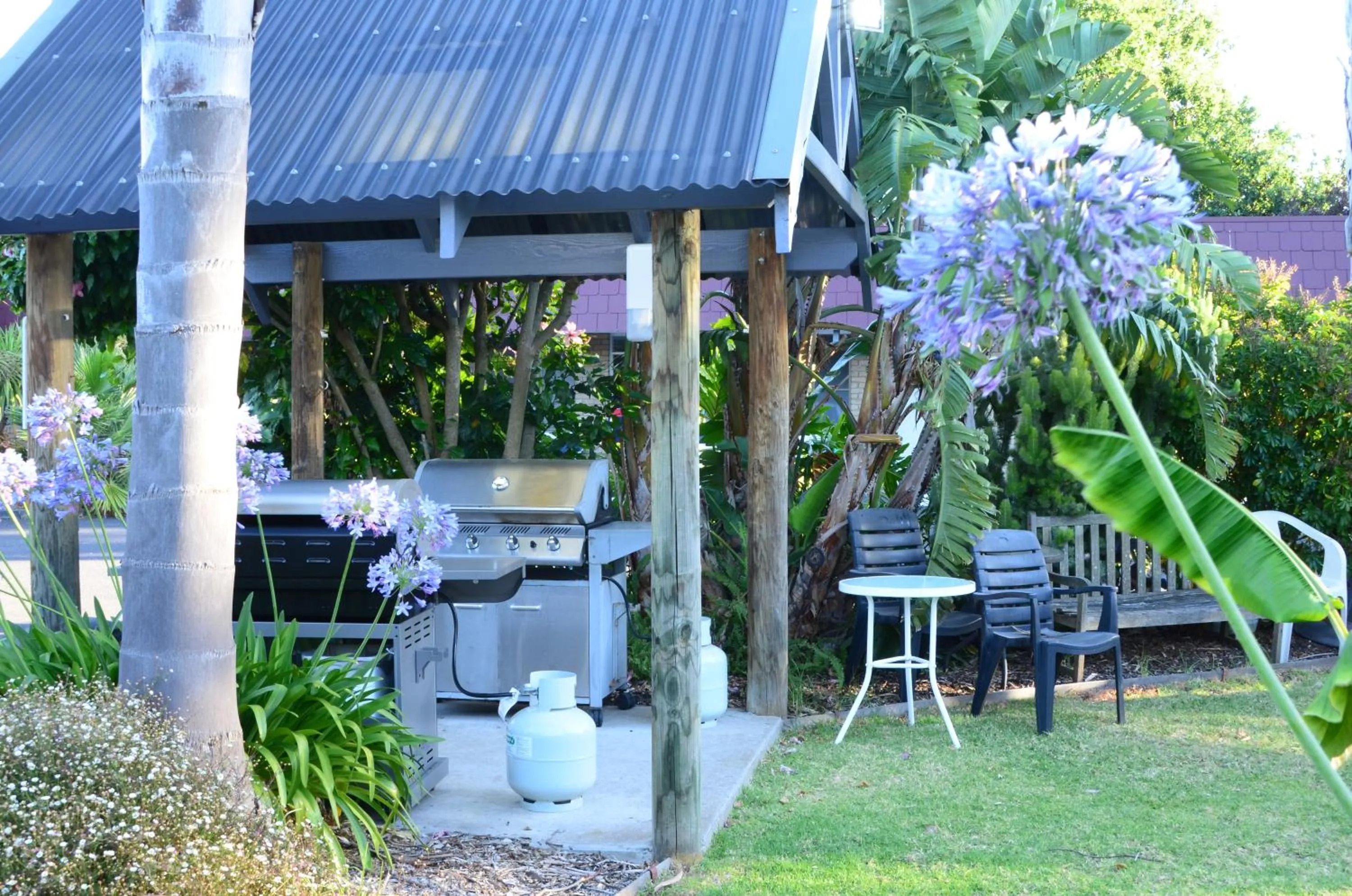 BBQ facilities in Tropicana Motor Inn