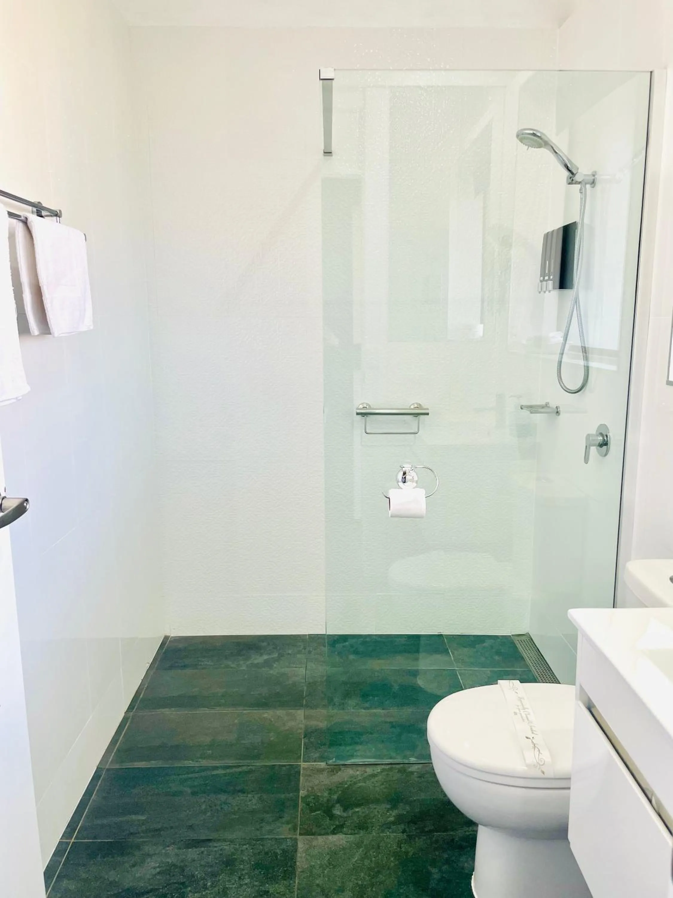 Shower in Tropicana Motor Inn