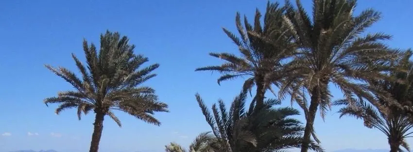 View (from property/room) in El Primo Hotel Dahab