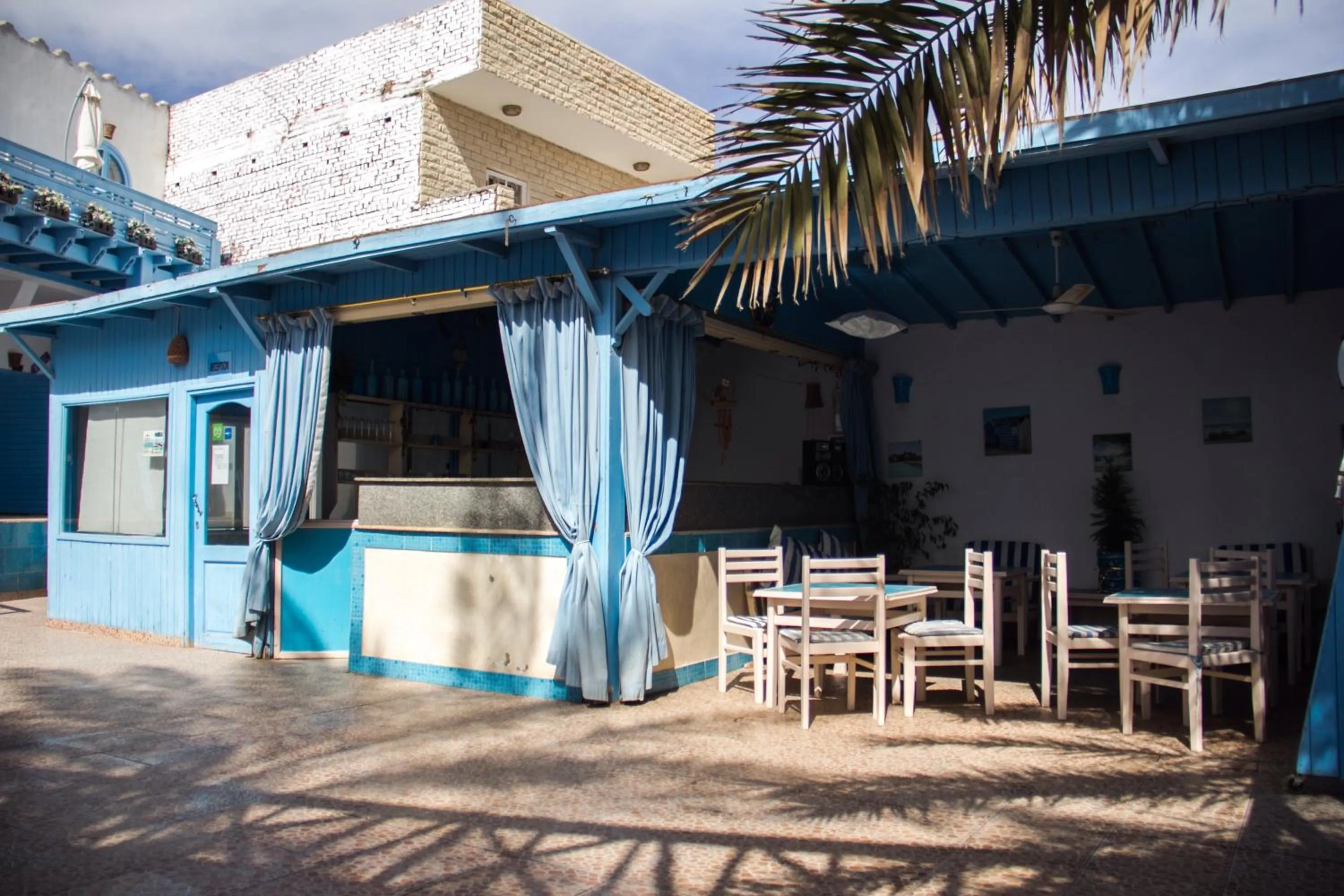 Lounge or bar in El Primo Hotel Dahab