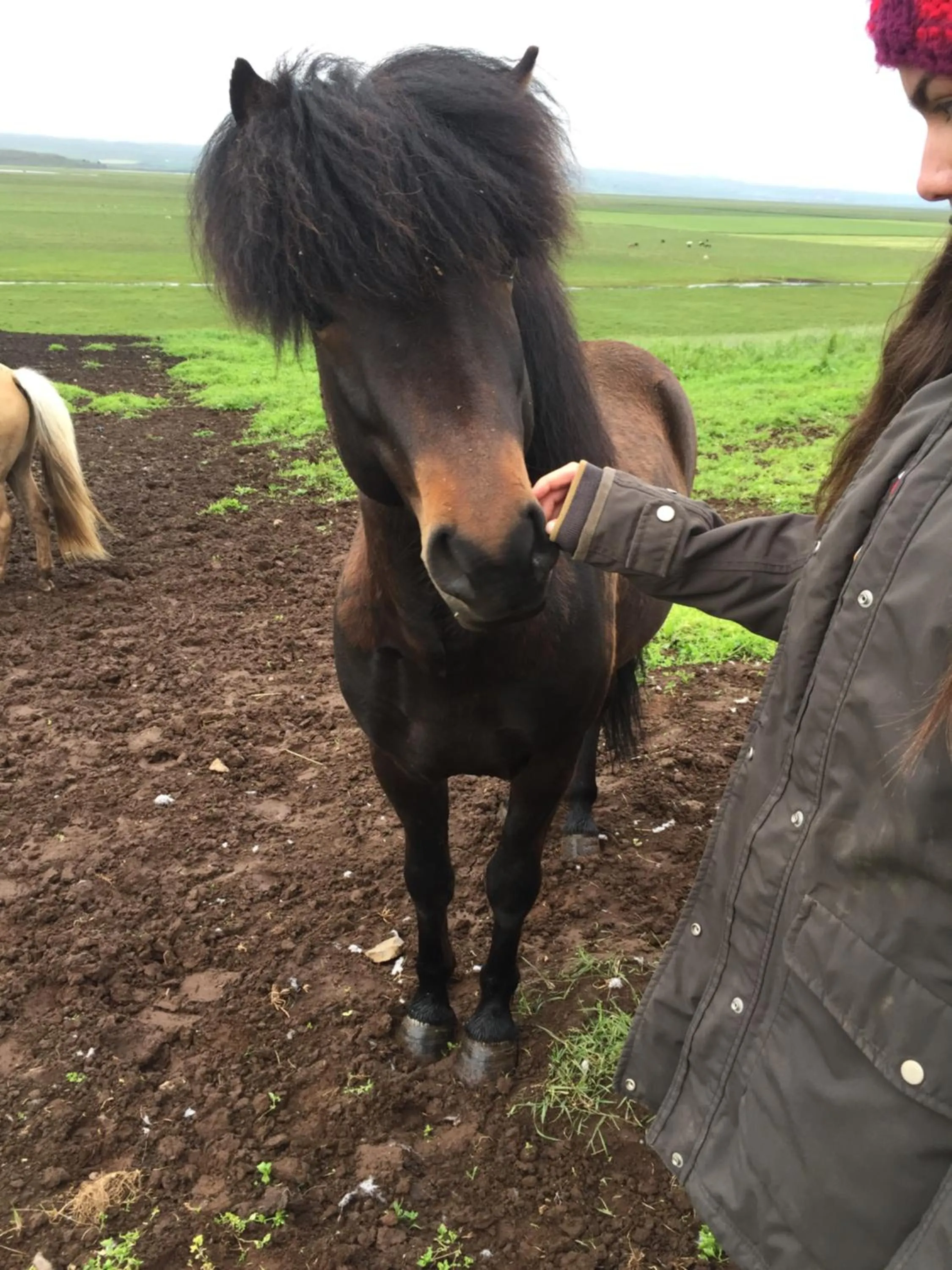 Family in Karuna Guesthouse