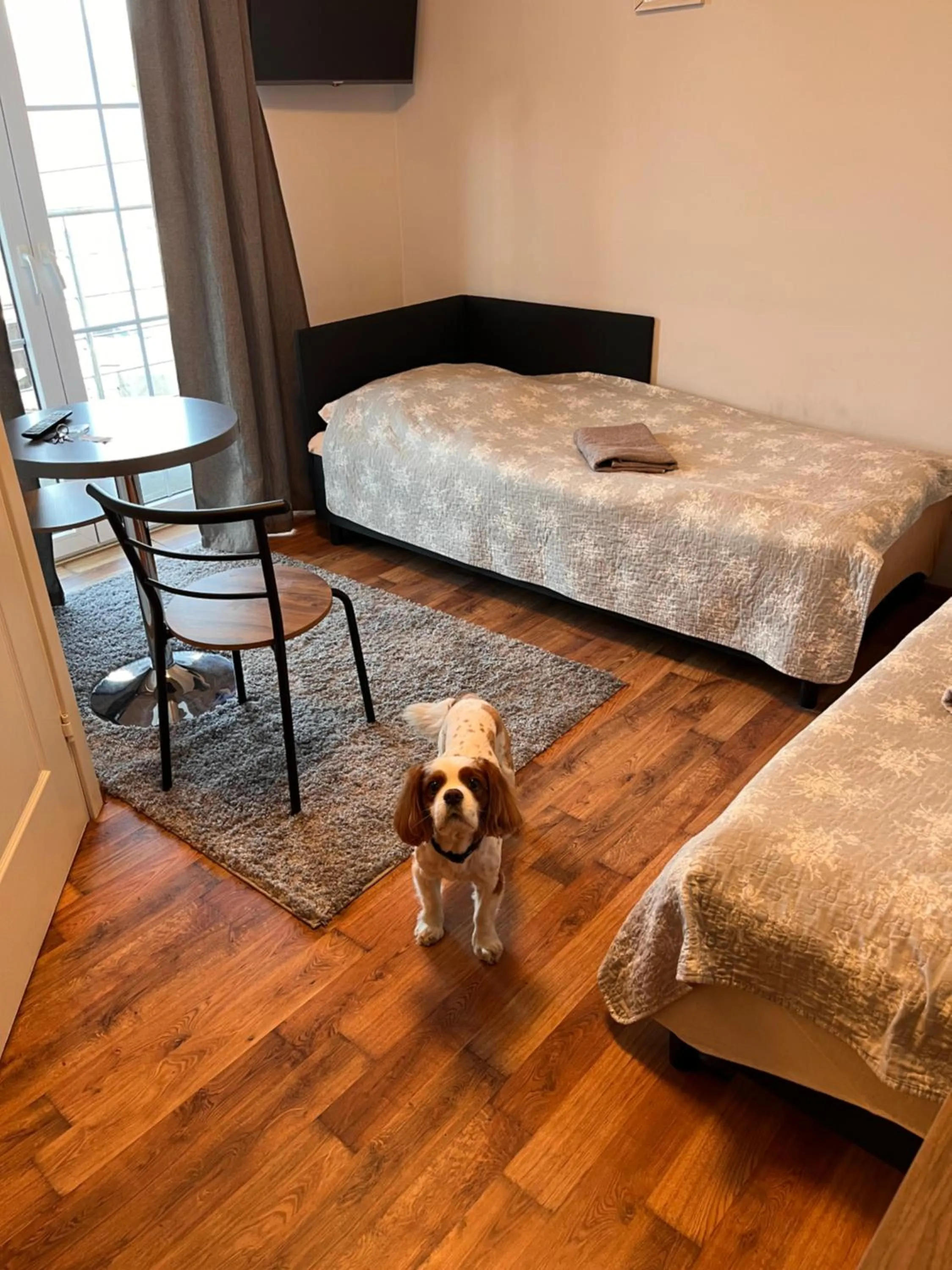 Bed in Route 7 Rooms