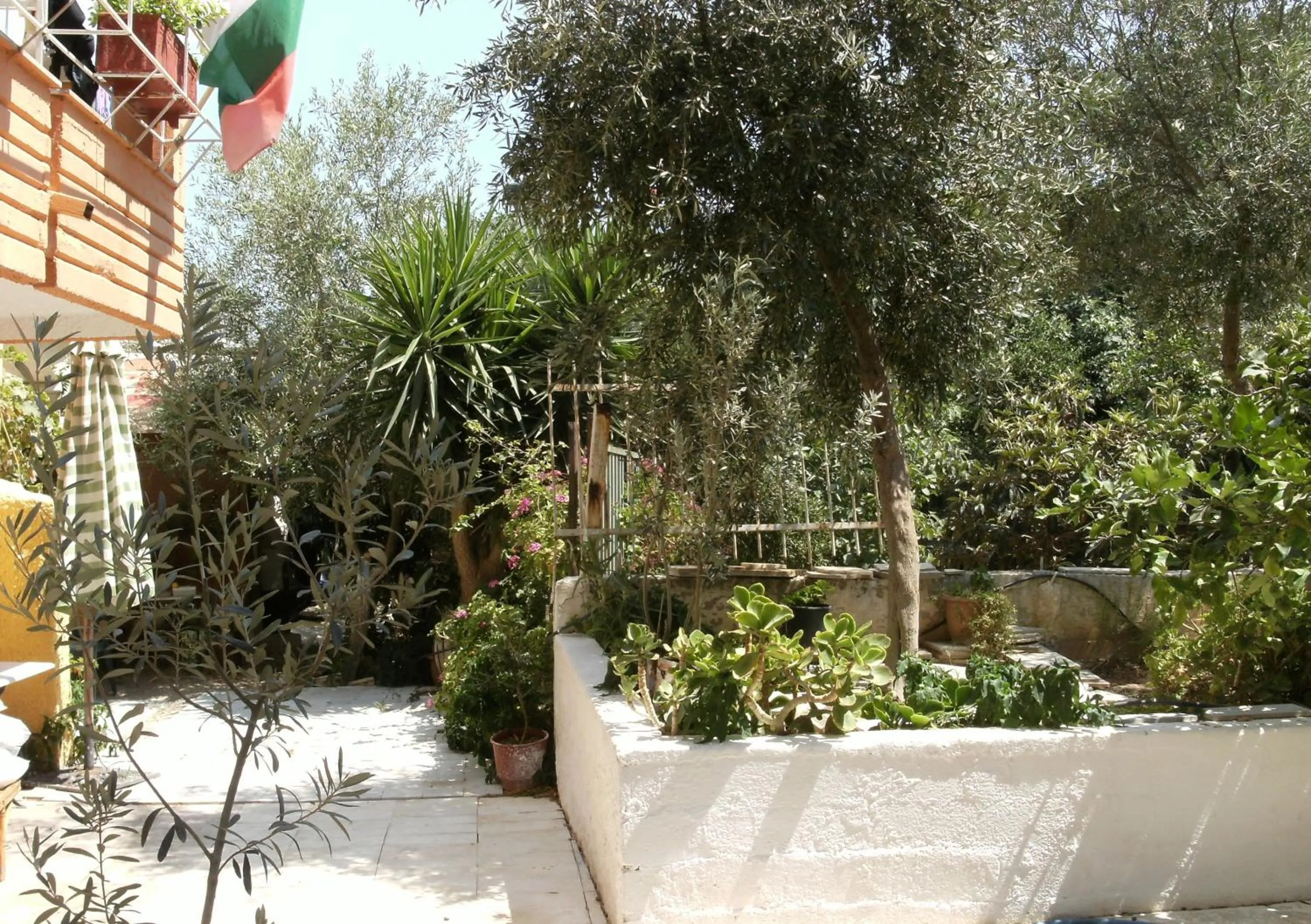 Garden in Katerina Hotel