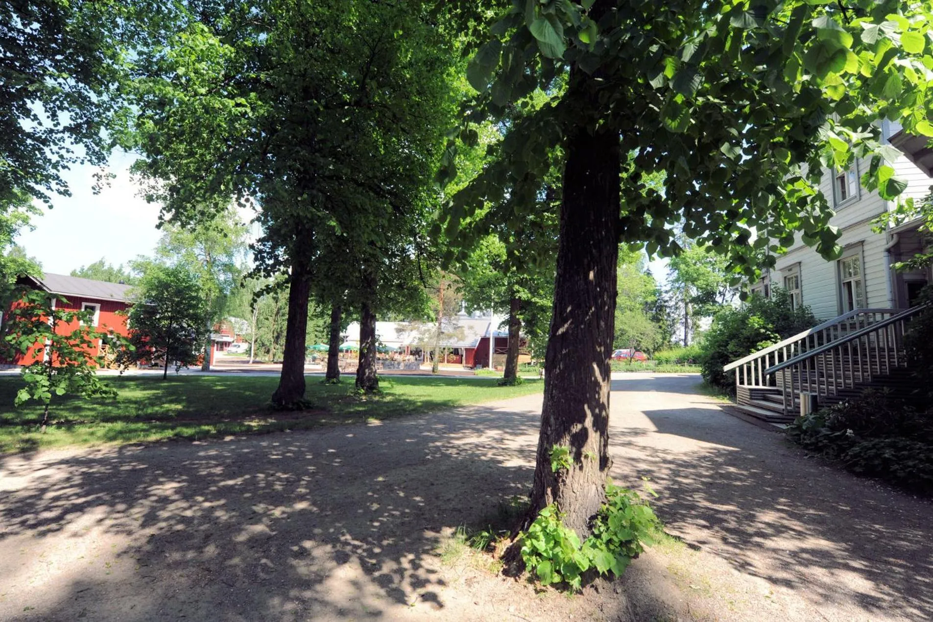 Garden in Hotel Krapi